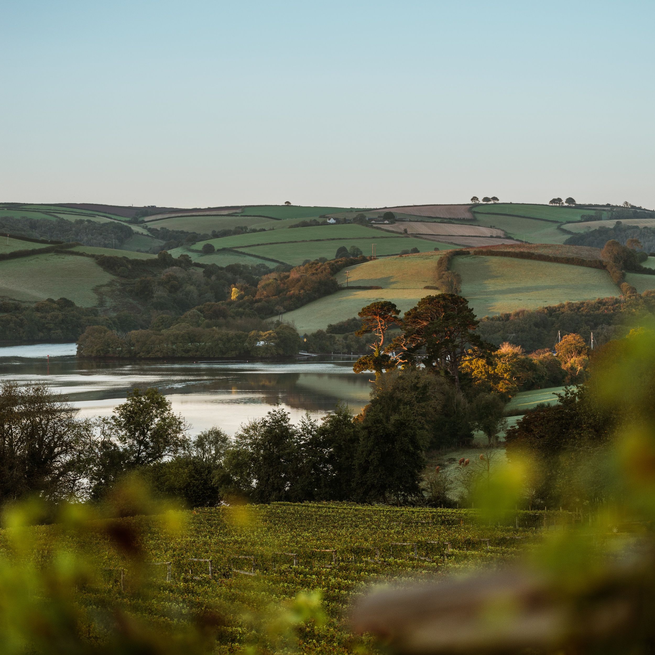 Rolling green countryside and patchwork fields beside a calm river under a clear blue sky