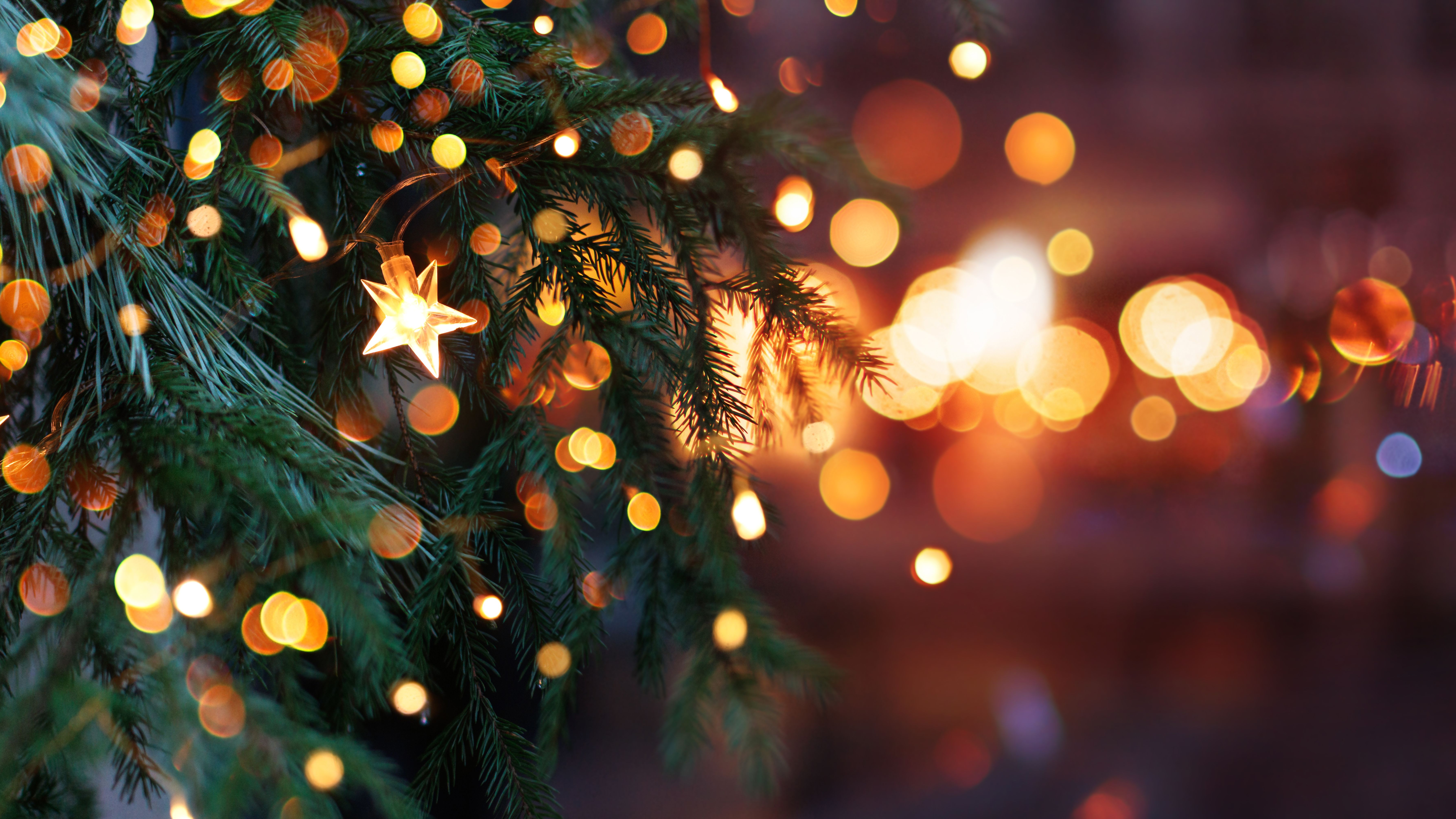 Close-up of evergreen branches with warm fairy lights and a glowing star-shaped bulb, with soft bokeh in the background.