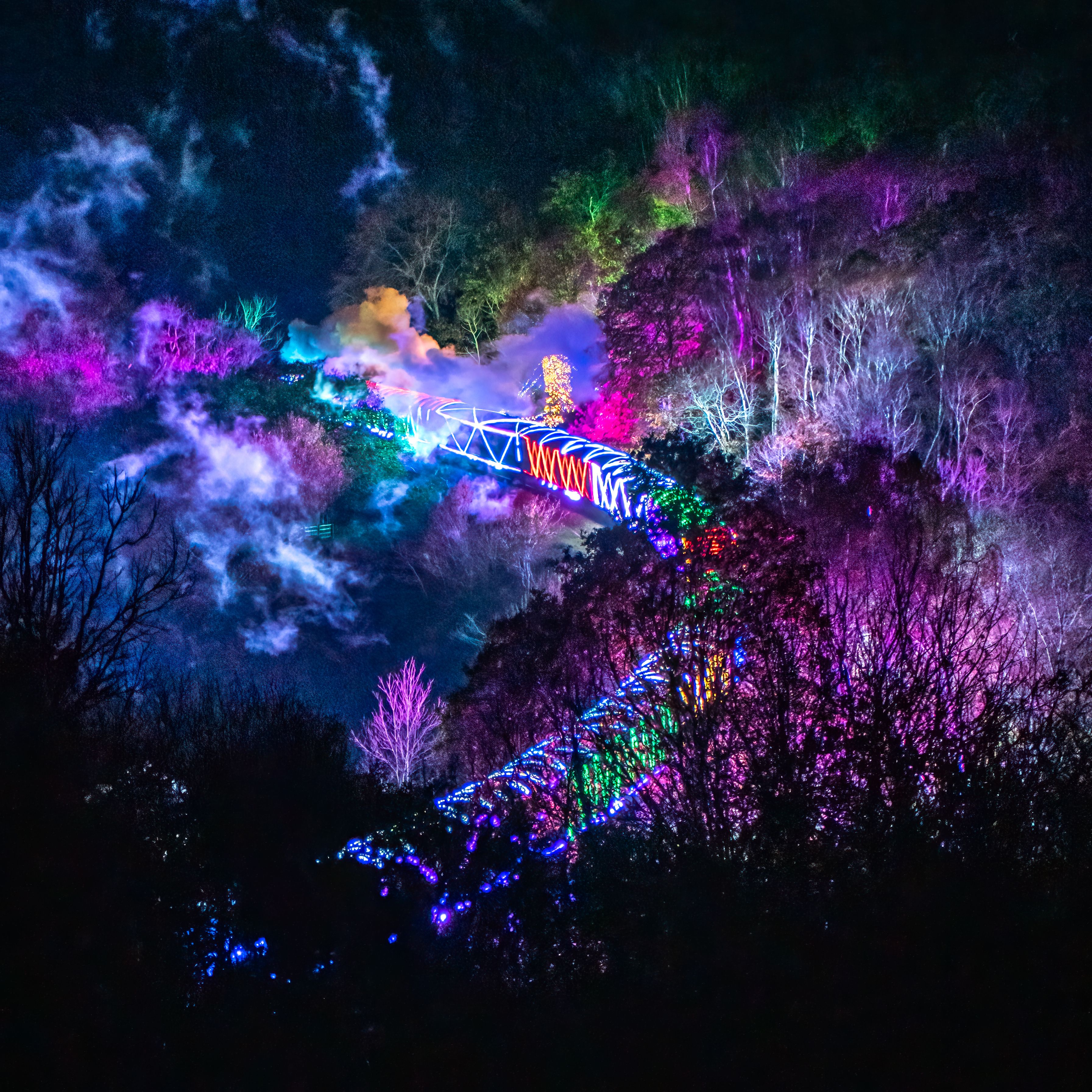 A steam train decorated with colourful lights winds through dark woodland at night, trailing smoke