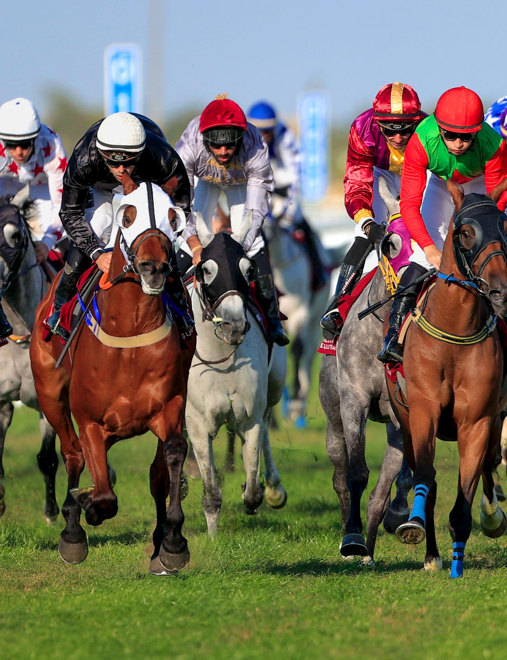 Jockeys riding horses in a competitive horse race on a grassy track