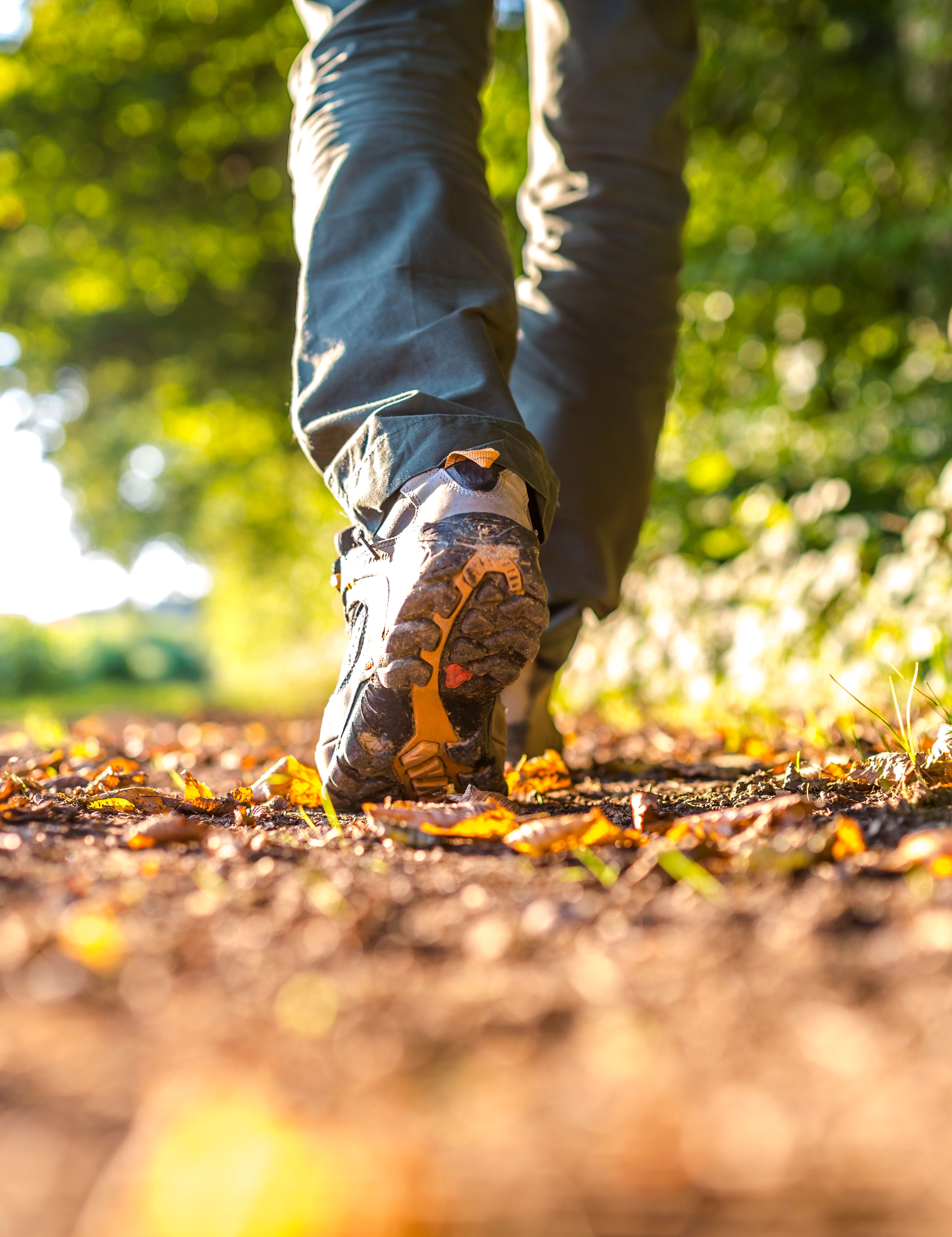 Close-up of a person walking on a dirt path in the forest wearing hiking shoes.