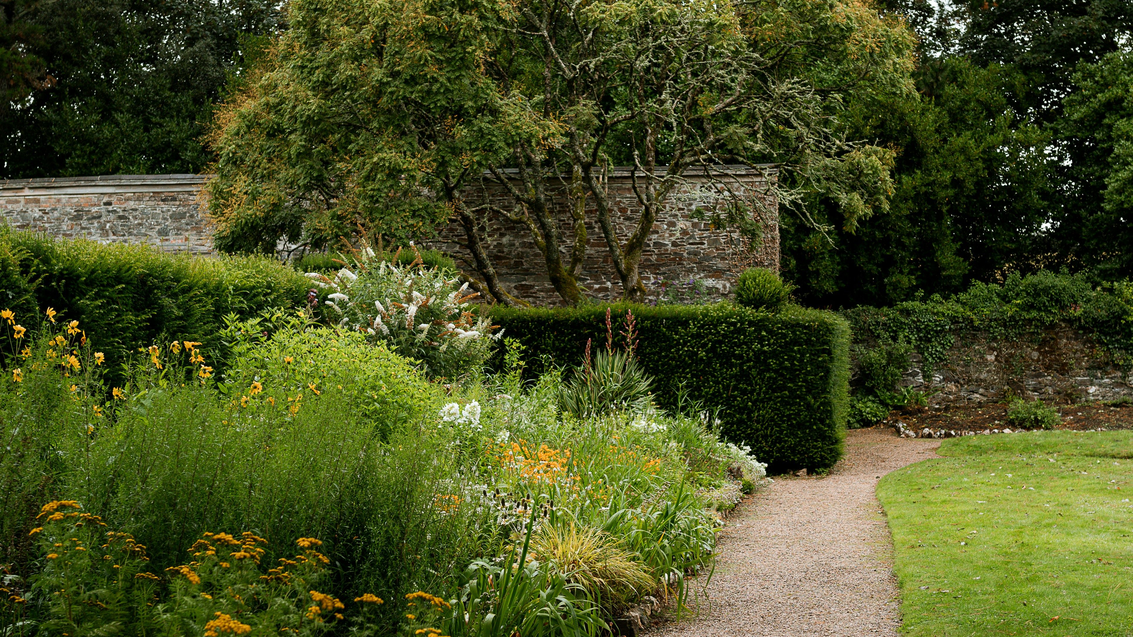 pascal-bullan-kwSQrqzKXWM-unsplash