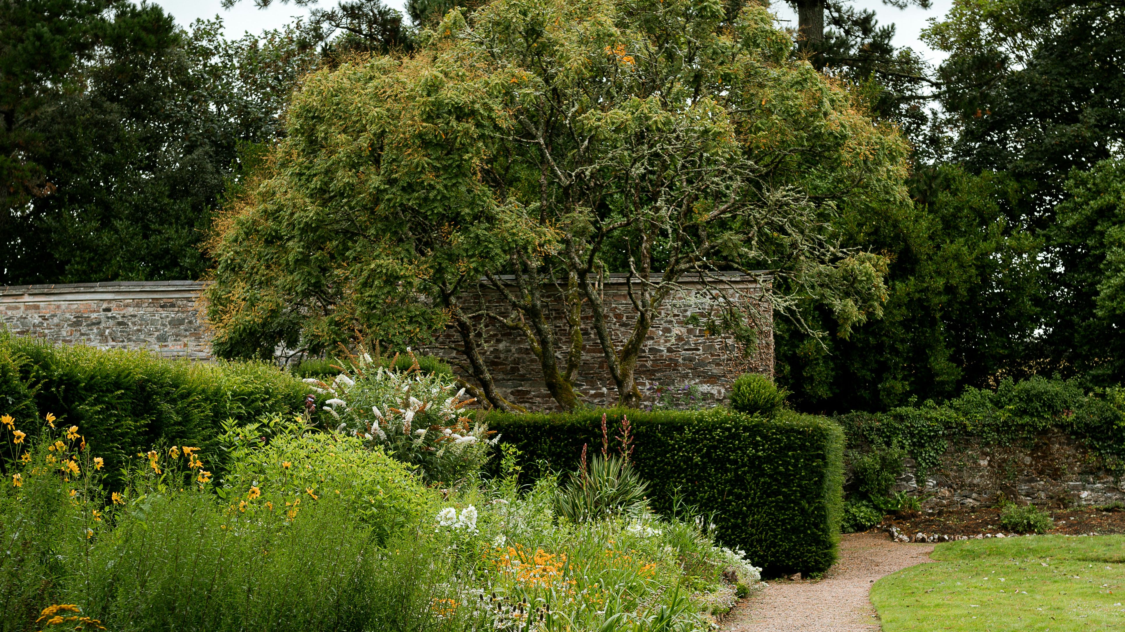 pascal-bullan-kwSQrqzKXWM-unsplash