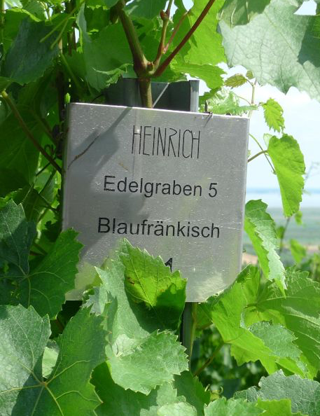wine tasting sign in field 10.06.26