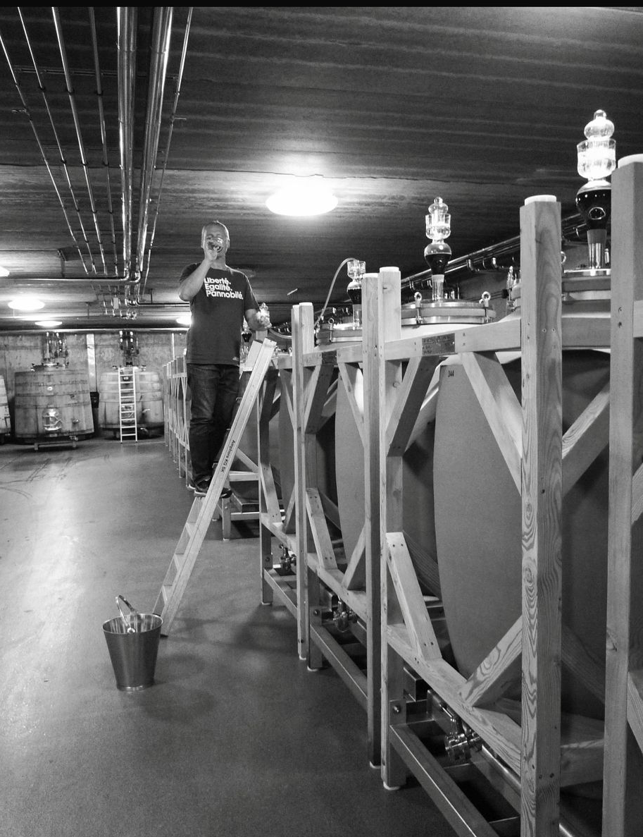 wine tasting winery 10.06.26