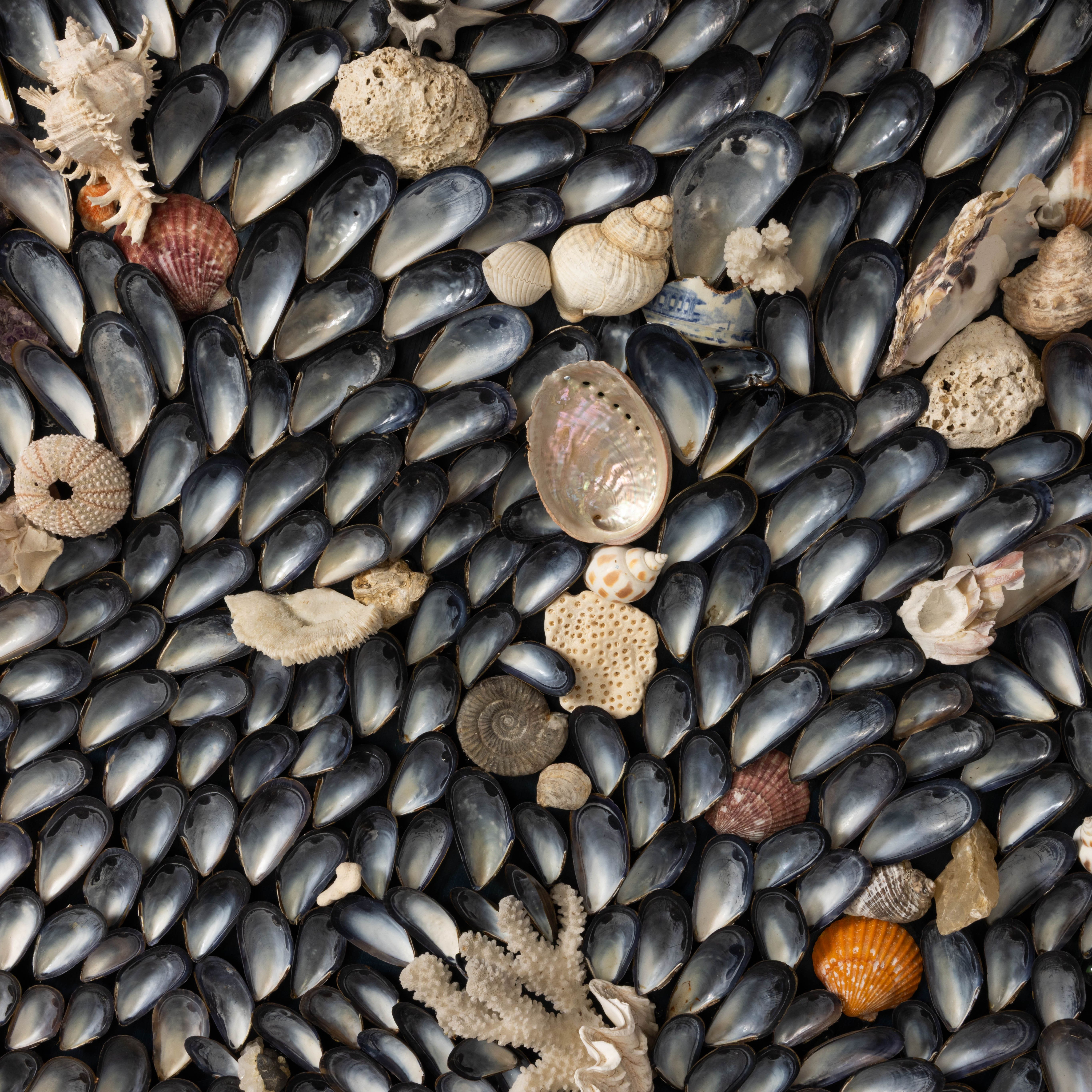A close-up view of various seashells and marine objects arranged in an intricate pattern.