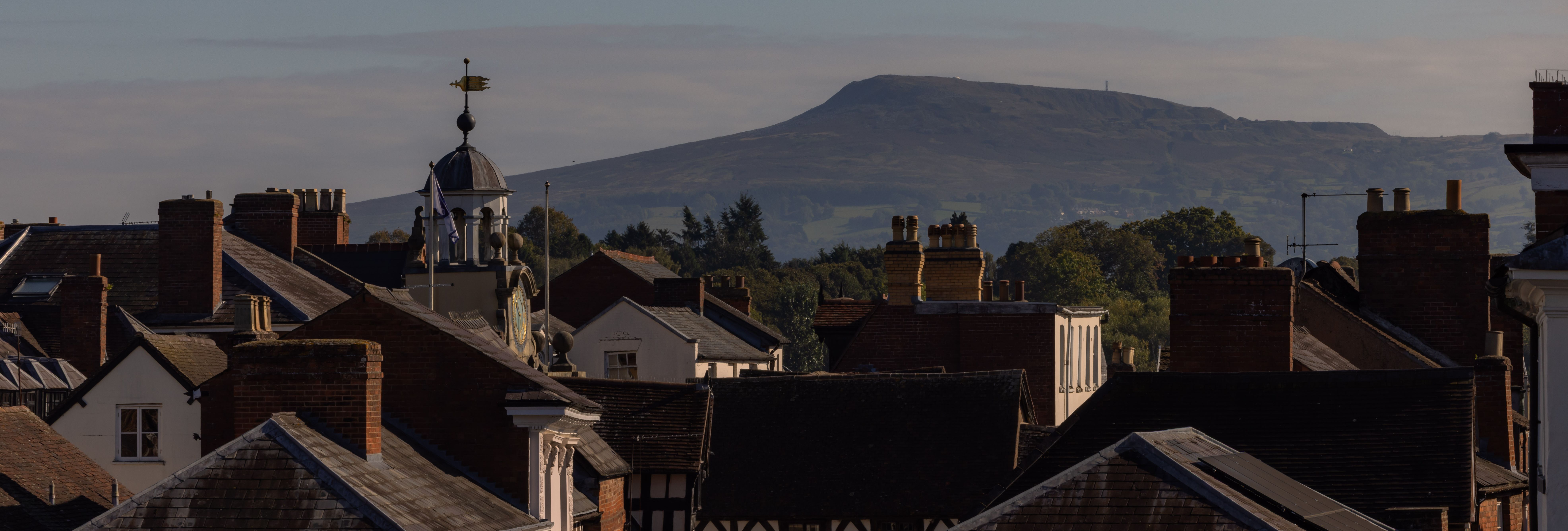 Rooftop view of a town with a mountain in the background under a clear sky