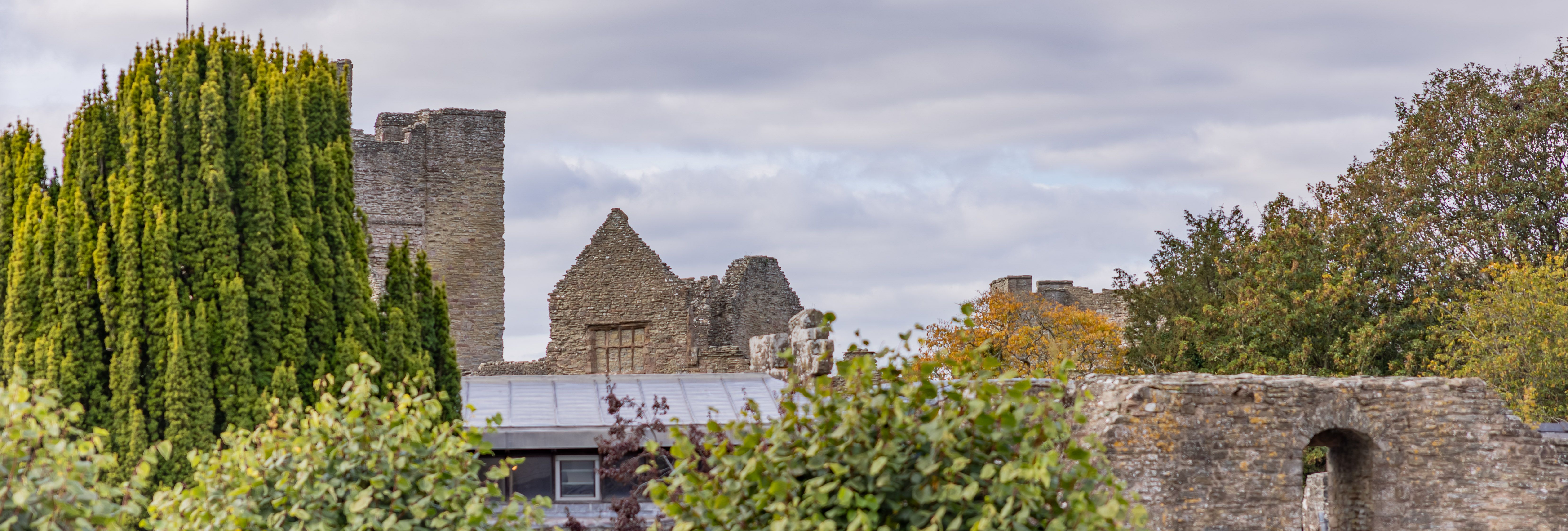 View of Ludlow Castle ruins partially obscured by trees and greenery