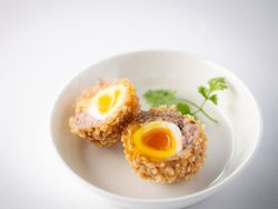 Two halved Scotch eggs with a soft yolk in a white bowl, garnished with a sprig of cilantro.