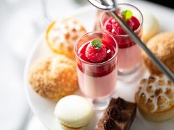 Assorted desserts on a white plate, including raspberry panna cotta served in glasses, macarons, tartlets, and pastries.