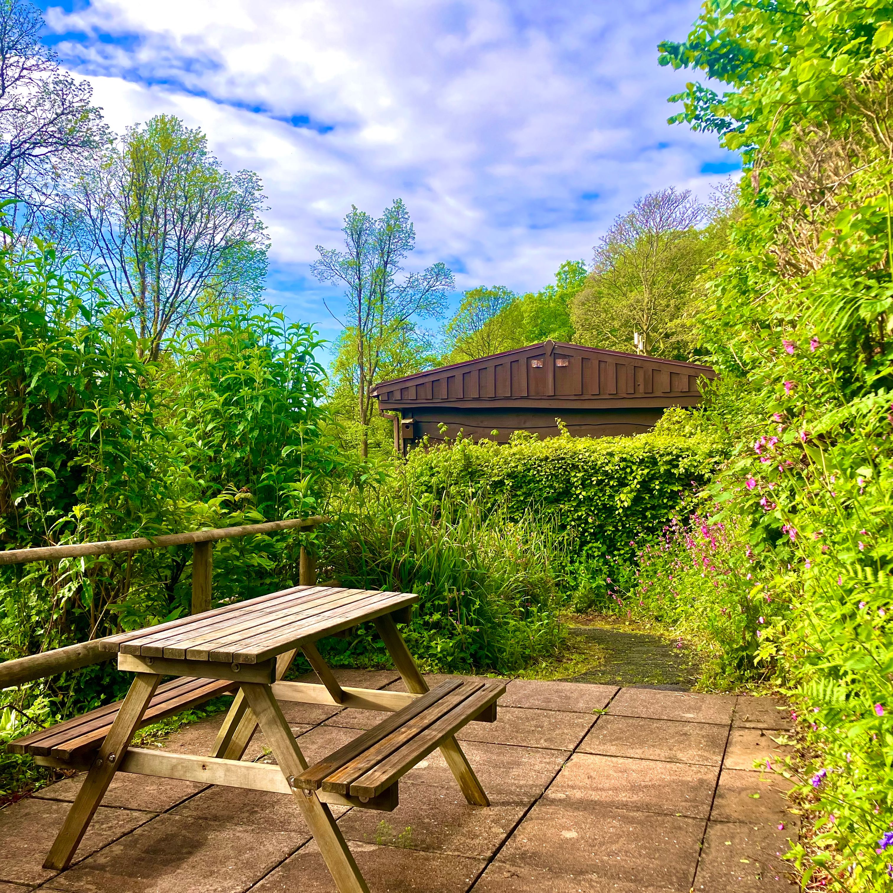 Wooden picnic table on a patio surrounded by lush green plants and trees under a partly cloudy sky.