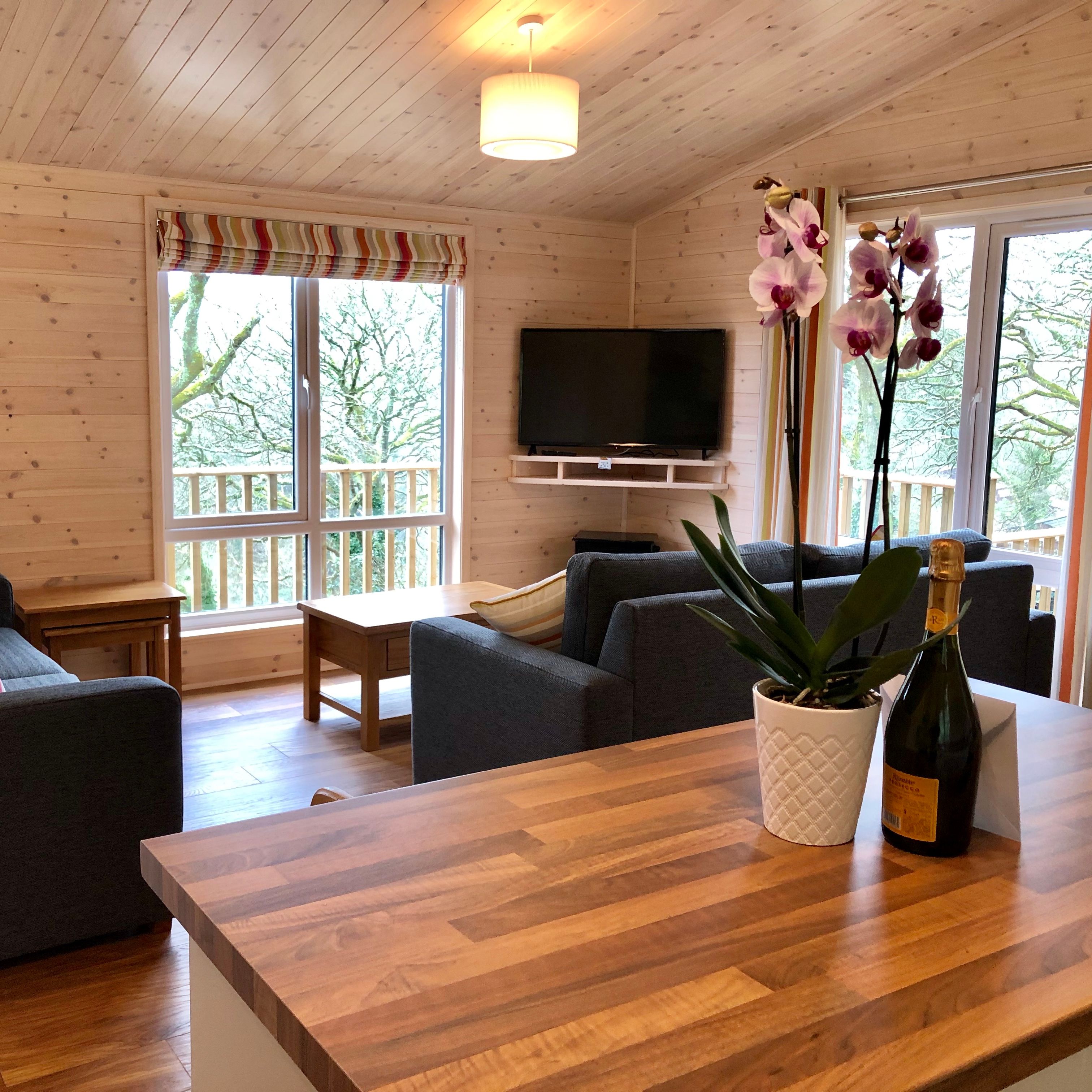 Modern wooden cabin living area with large windows, grey sofas, a TV, and a bottle of champagne next to a potted orchid on a countertop.