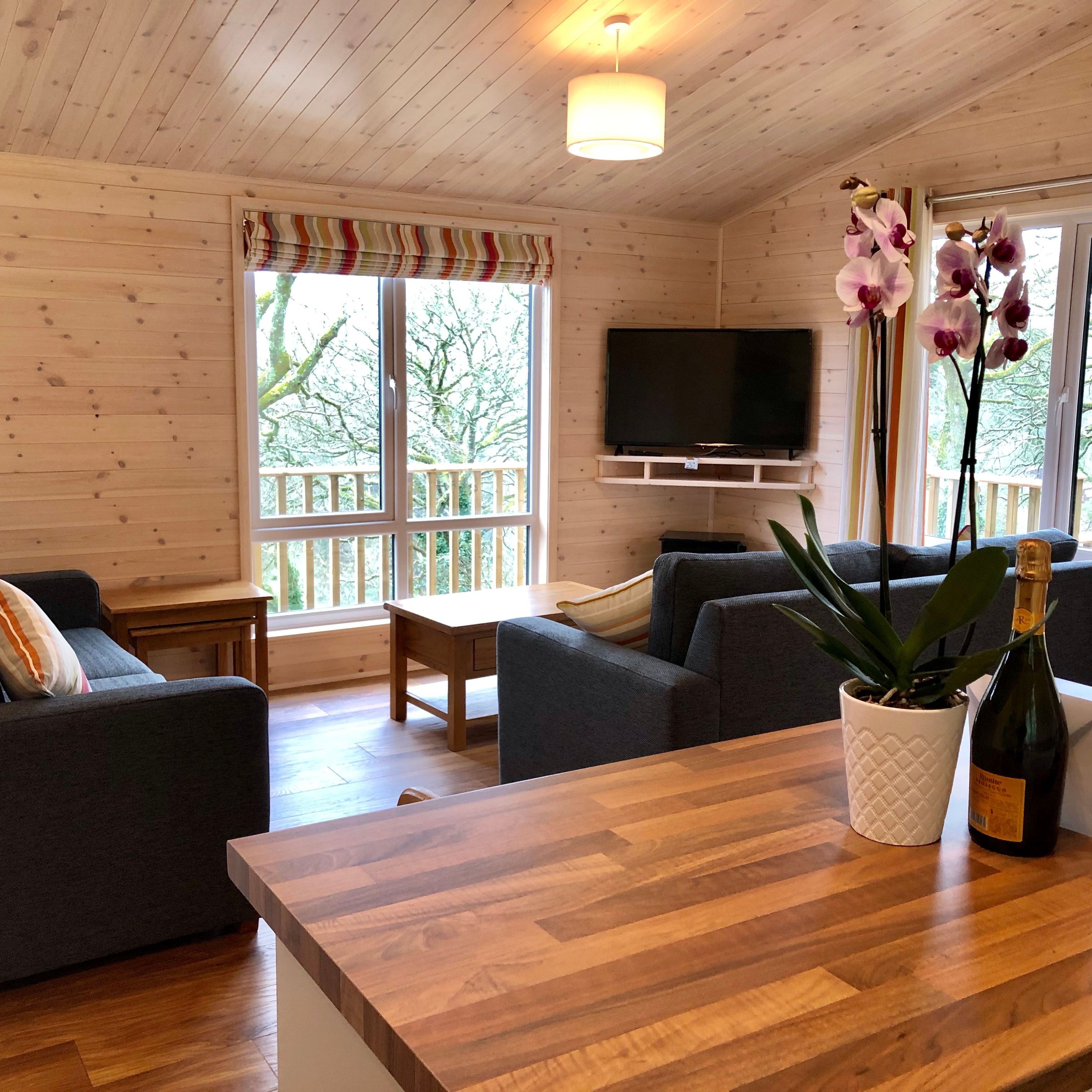 Modern wooden cabin living area with large windows, grey sofas, a TV, and a bottle of champagne next to a potted orchid on a countertop.