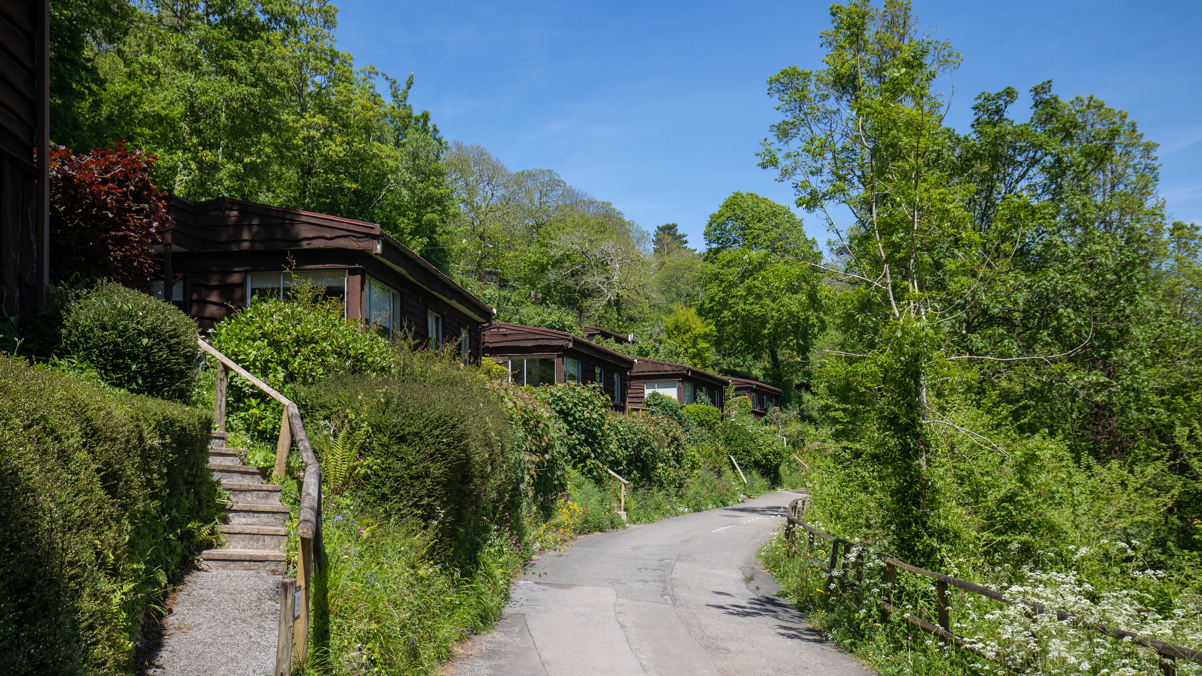 Wooden cabins with large windows set along a narrow country road and surrounded by lush green trees and bushes.