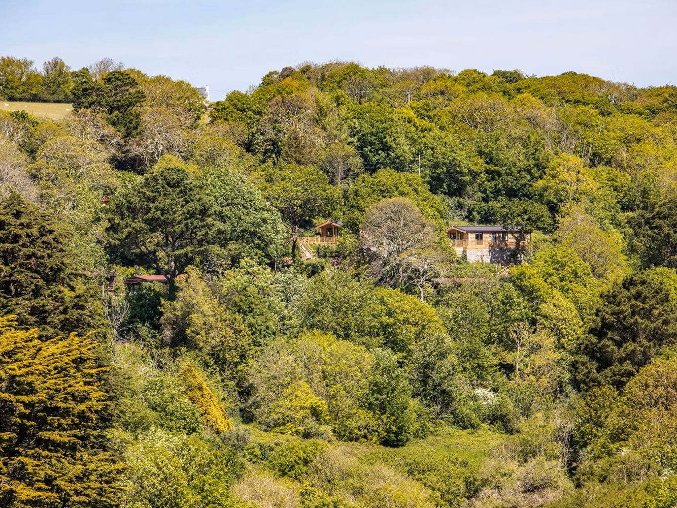 Woodland hillside with two wooden lodges nestled among green trees under a clear sky