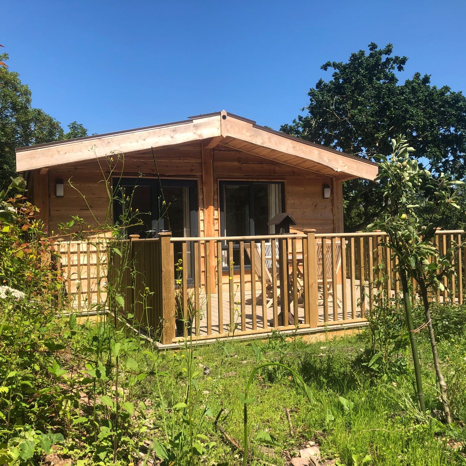Wooden cabin with a deck surrounded by greenery on a sunny day