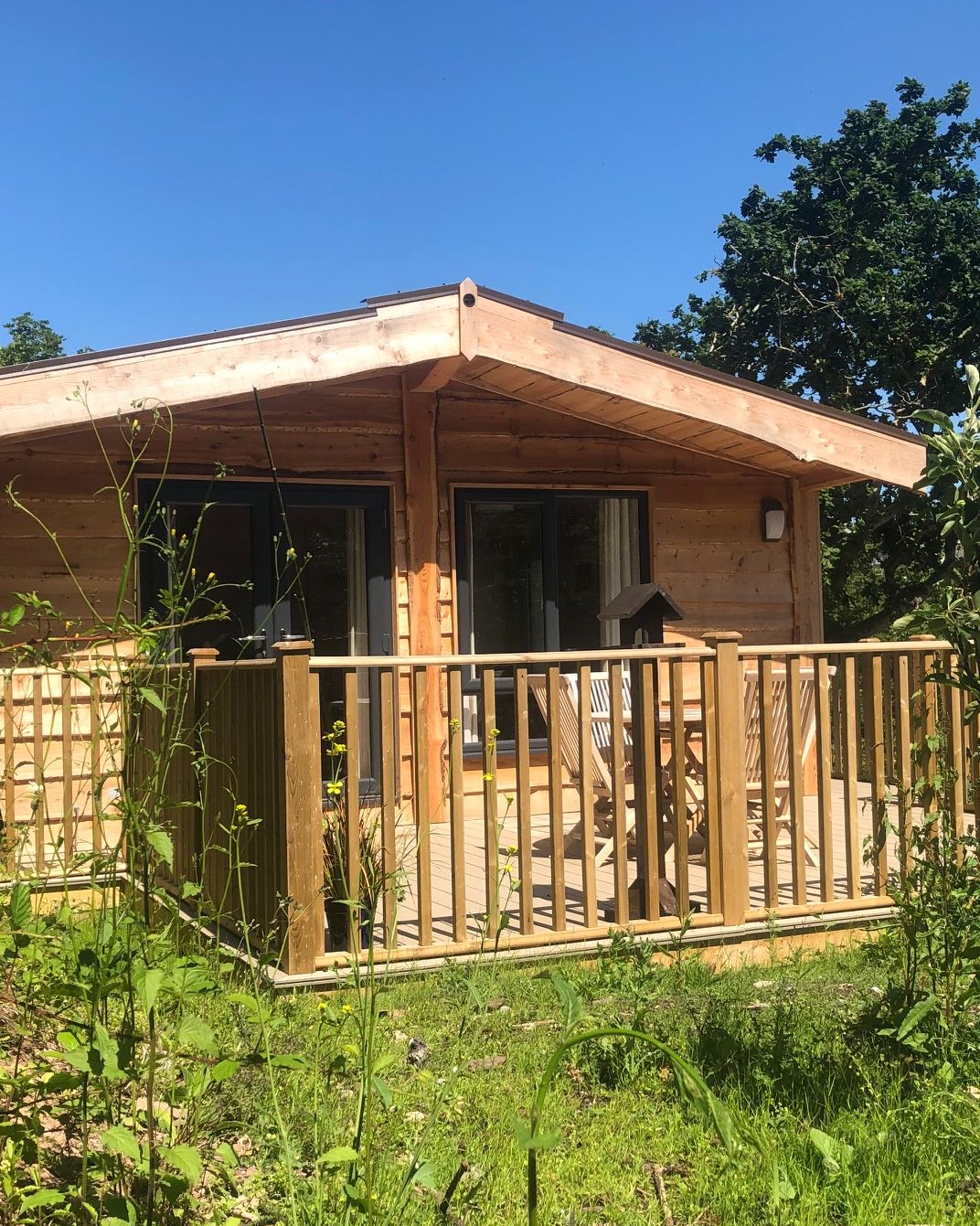 Wooden cabin with a deck surrounded by greenery on a sunny day