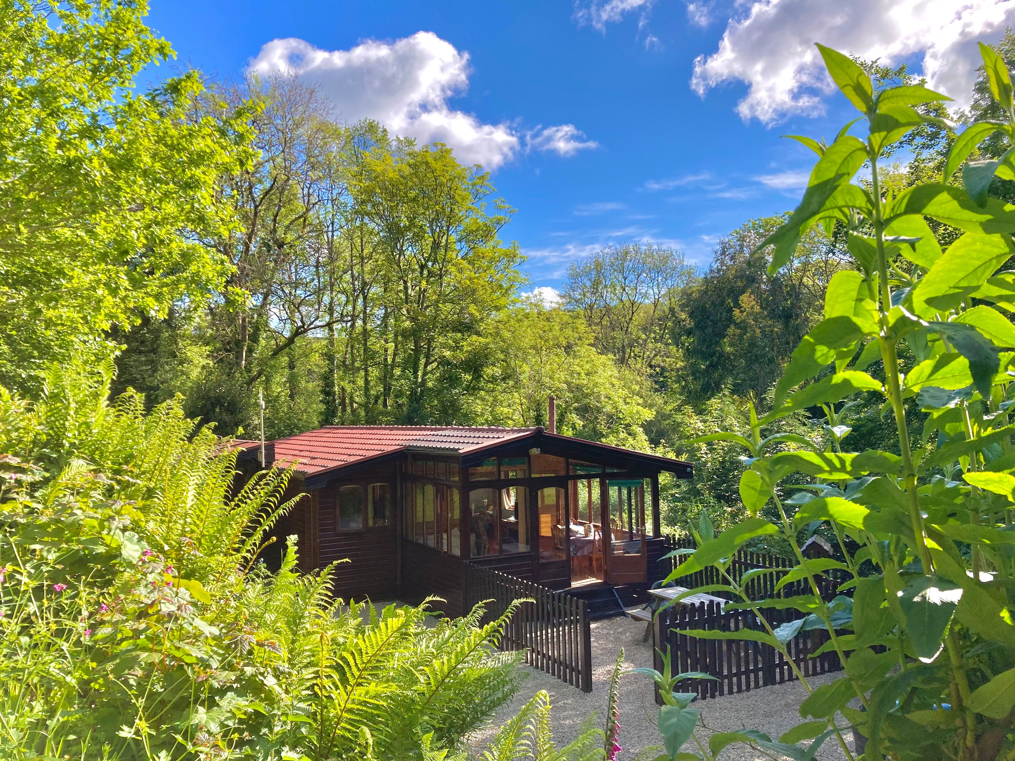 A wooden cabin surrounded by lush green trees and plants under a blue sky with scattered clouds.