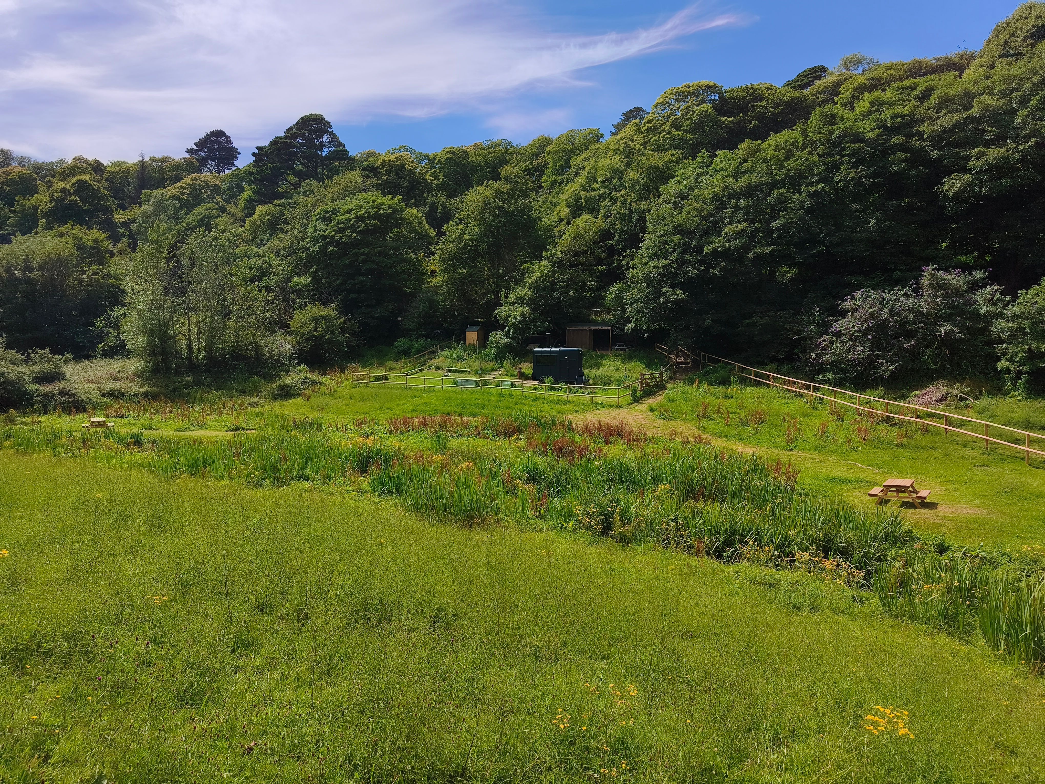 Grassy meadow bordered by dense woodland under a blue sky with picnic benches and a fenced path