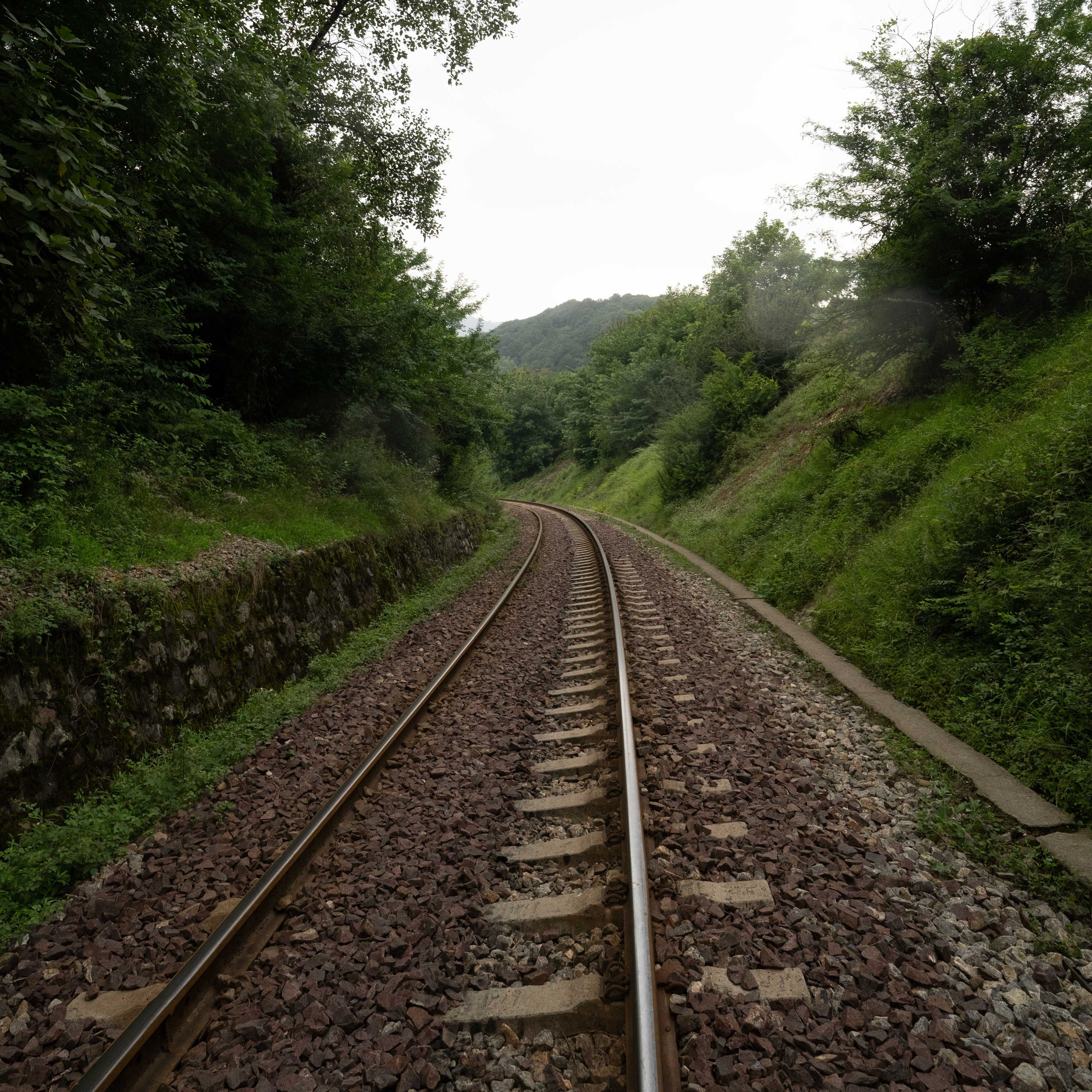 Curved railway track surrounded by green trees and vegetation.