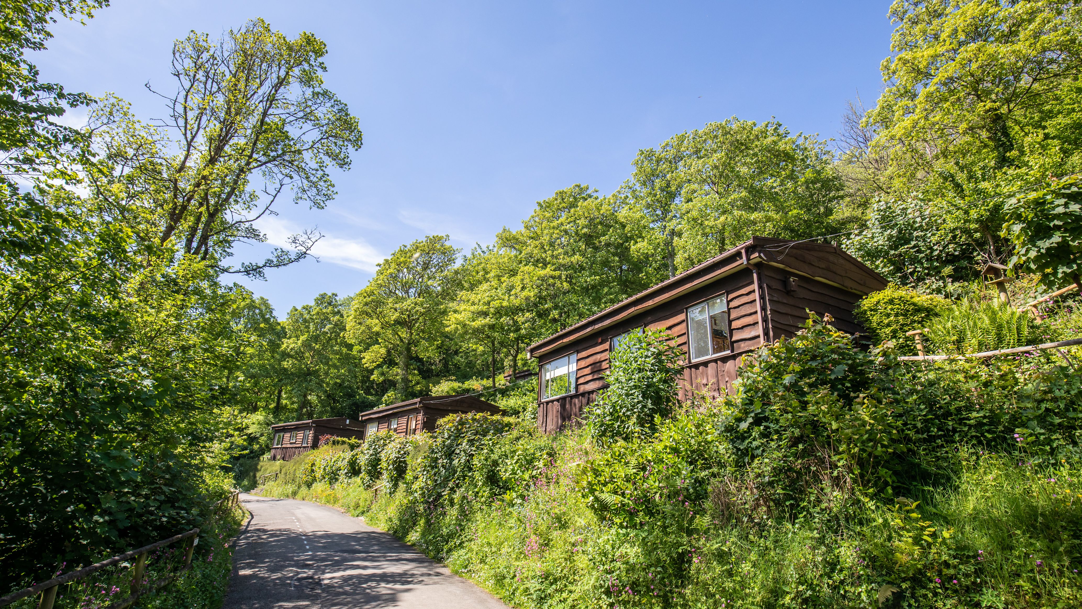 Wooden cabins nestled on a green hillside next to a road under a clear blue sky