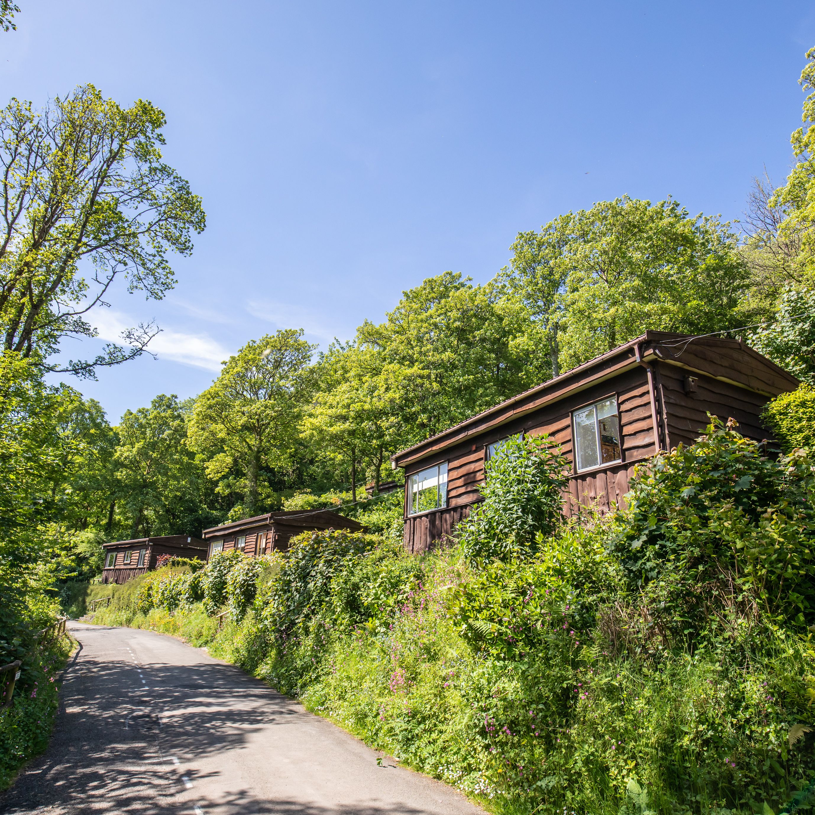 Wooden cabins nestled on a green hillside next to a road under a clear blue sky