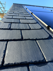 Clemence Roofing - Taxus (7)