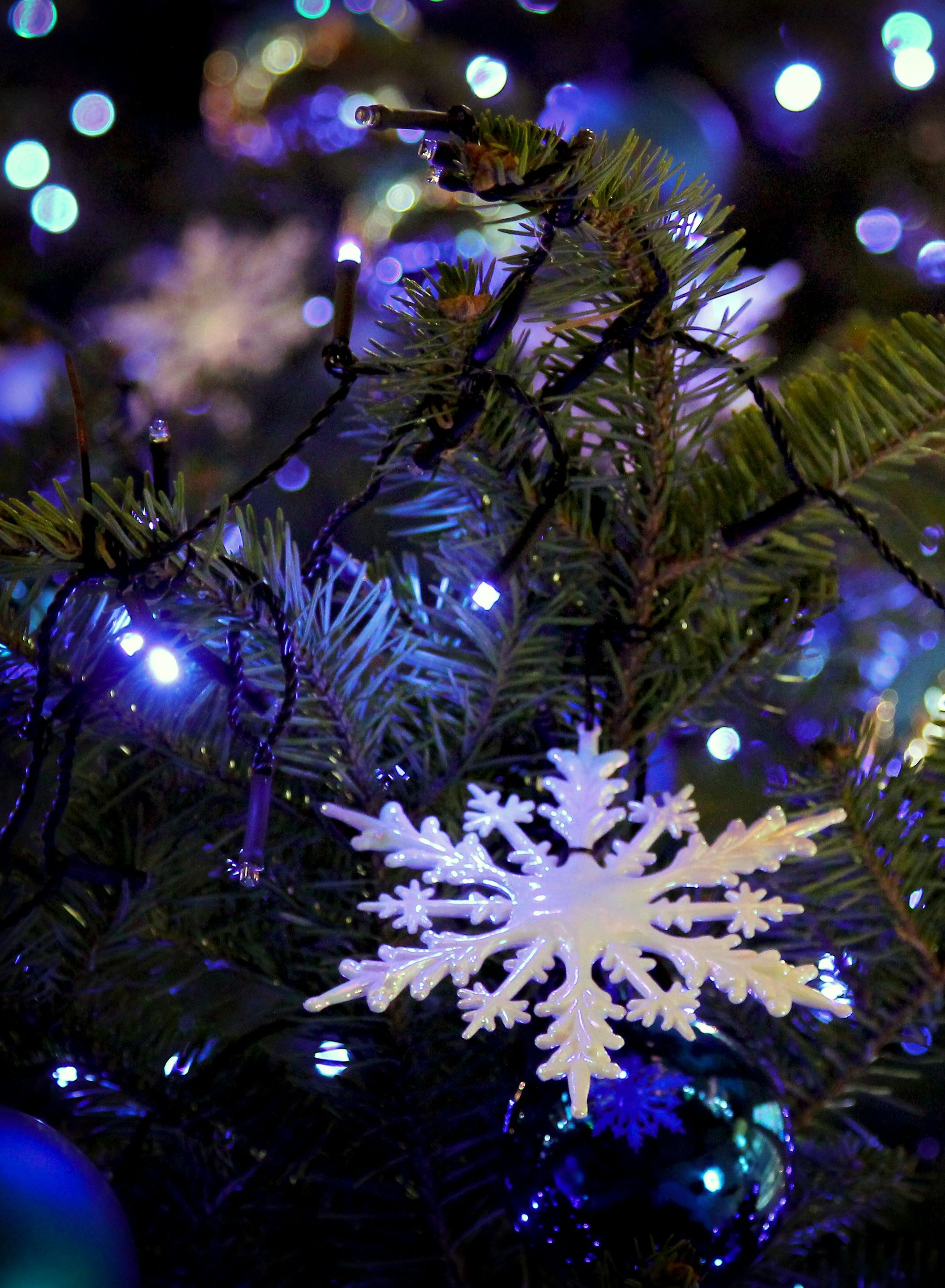 Close-up of a Christmas tree branch with a white snowflake ornament and blue fairy lights