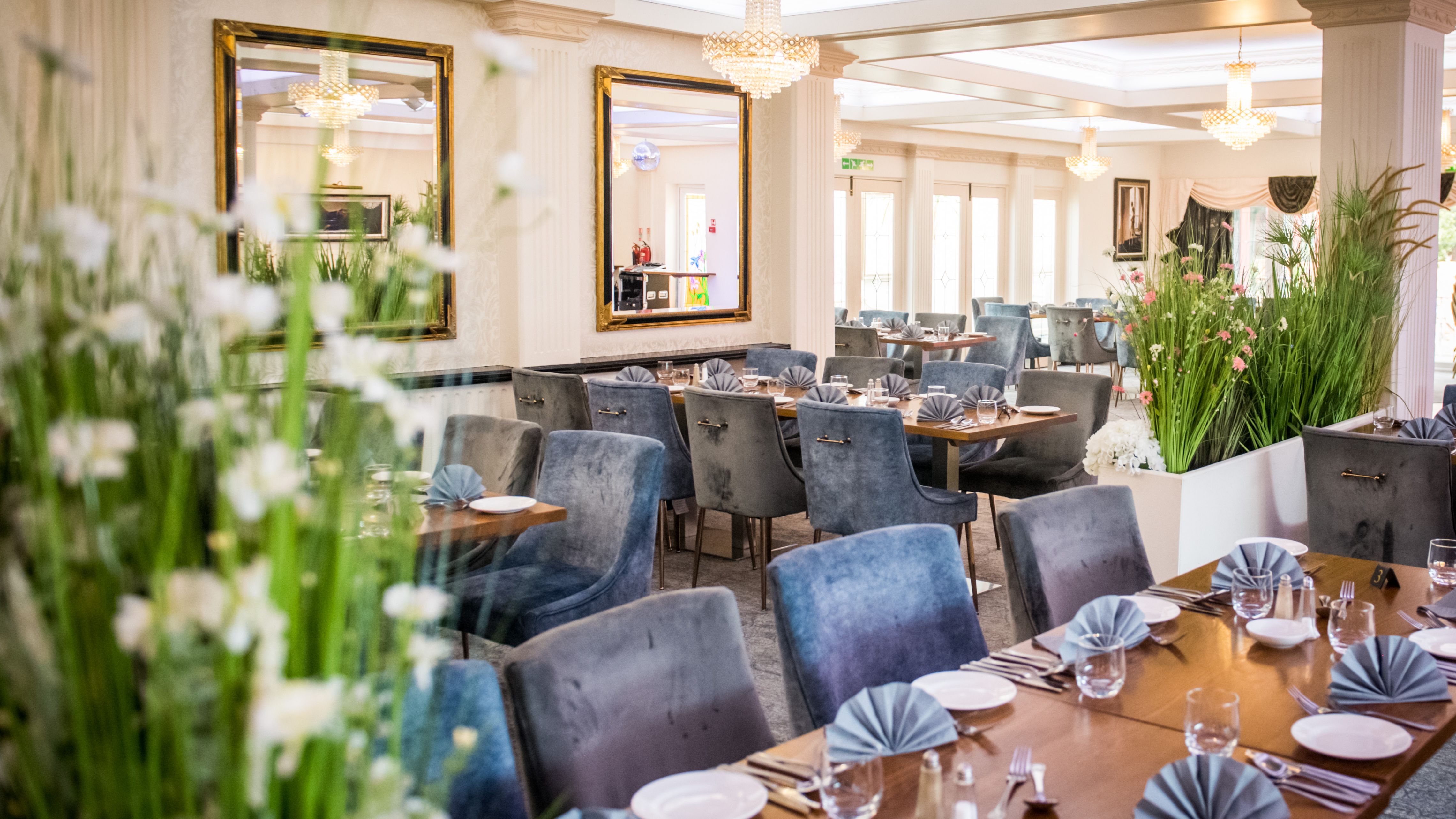 Elegant restaurant dining room with blue velvet chairs, set tables and crystal chandeliers