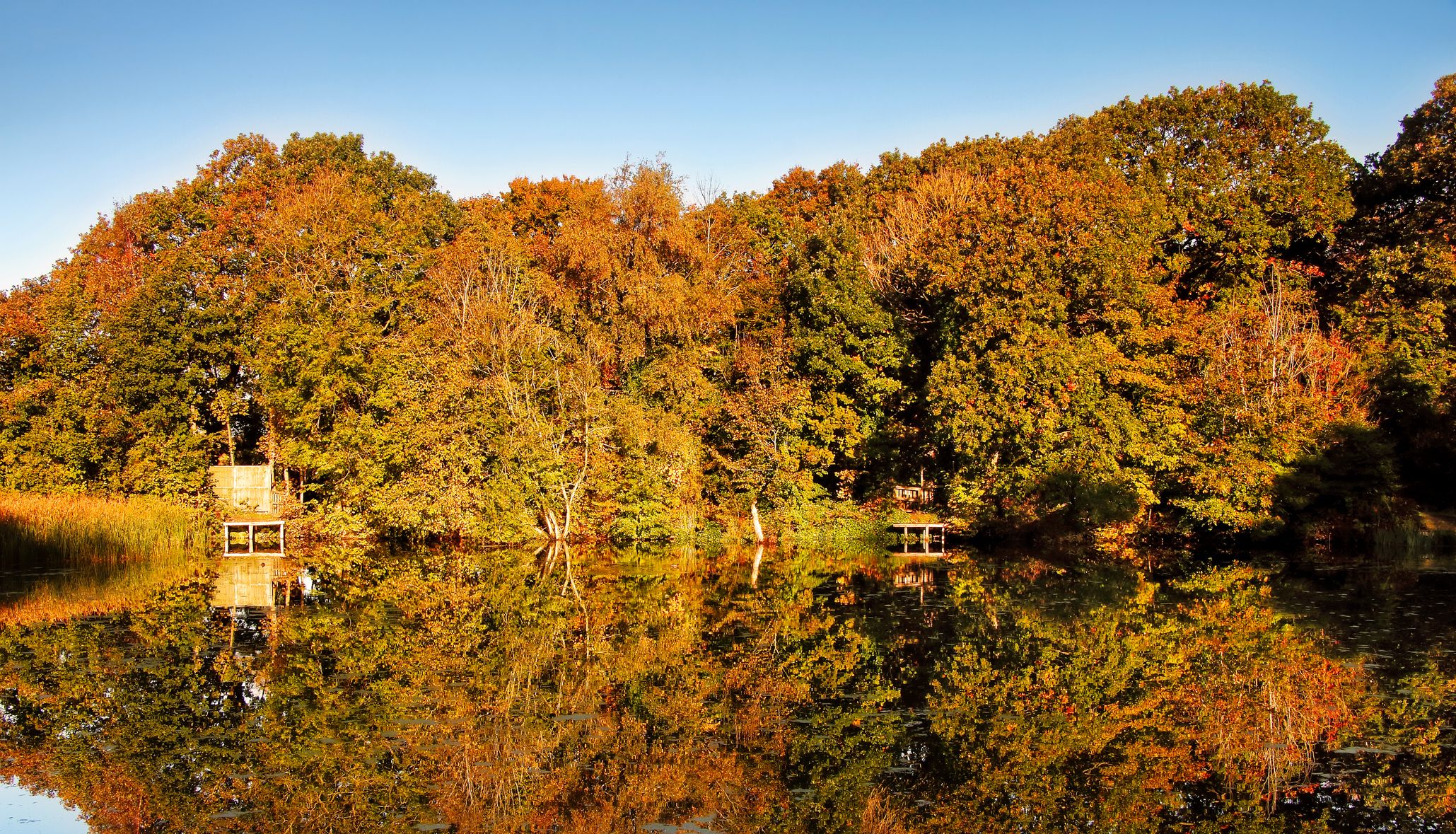 Autumn woodland reflected in a calm lake under a clear blue sky