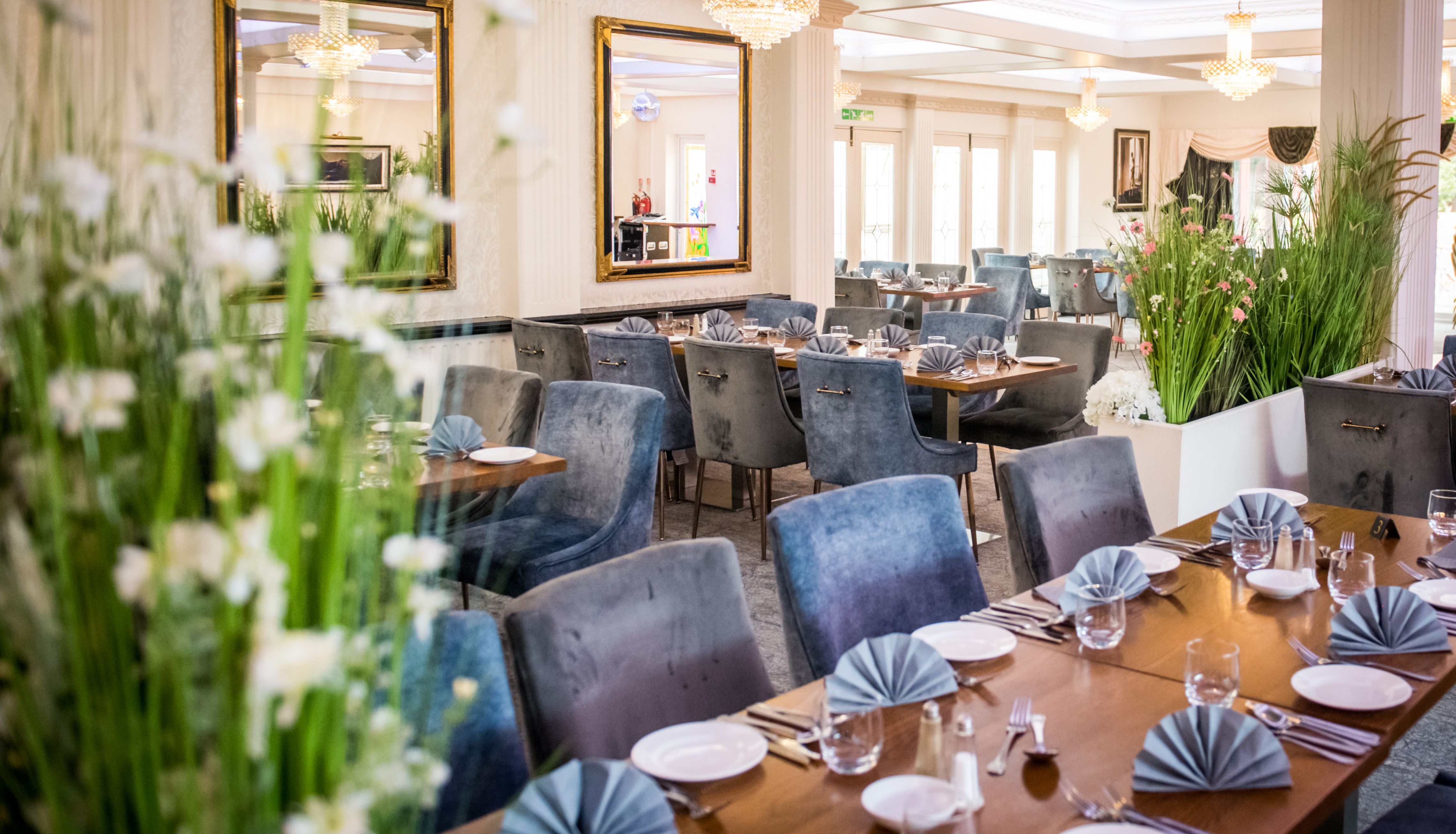 Elegant restaurant dining room with grey velvet chairs, set tables and crystal chandeliers