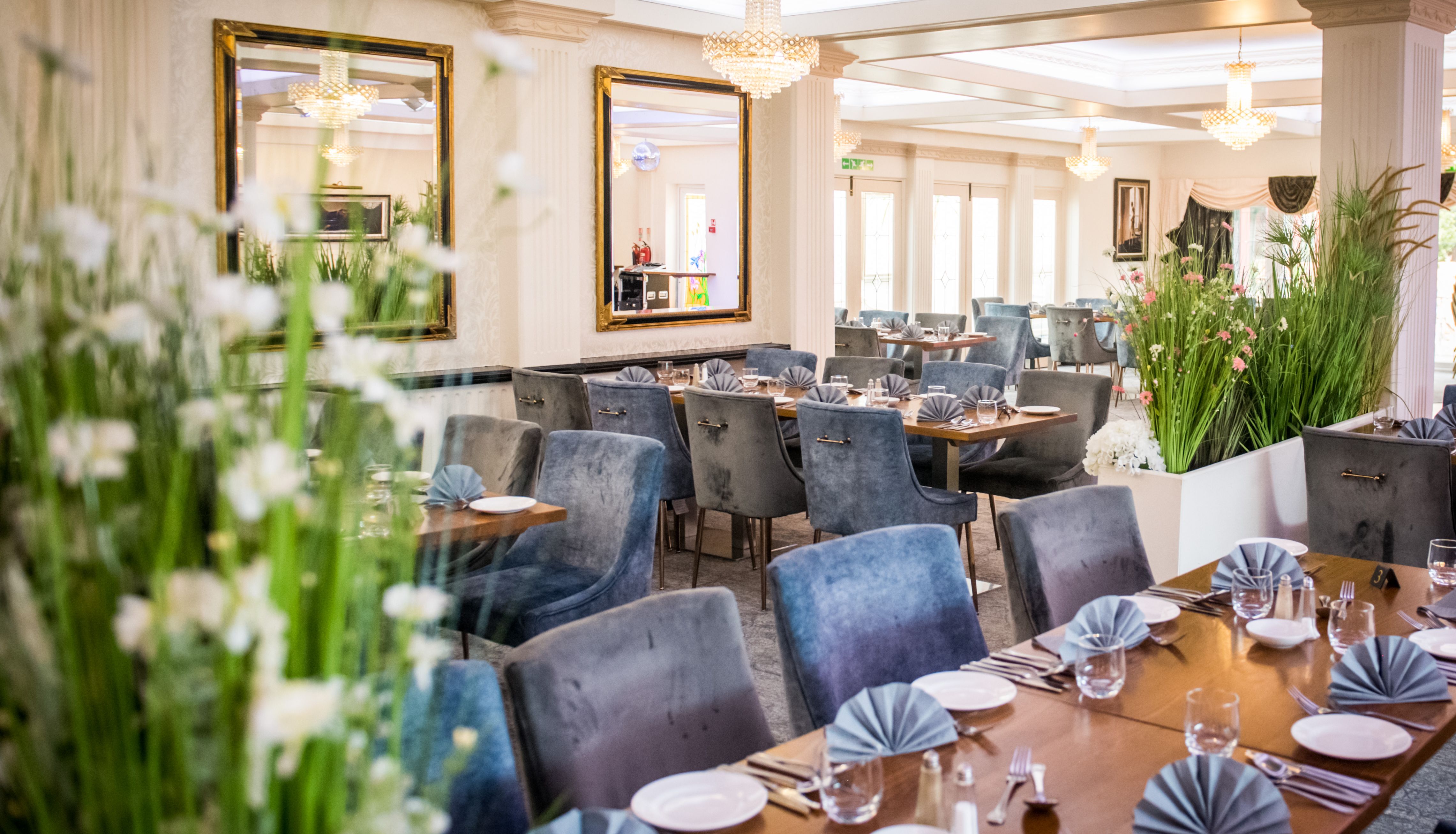 Elegant restaurant dining room with grey velvet chairs, set tables and crystal chandeliers