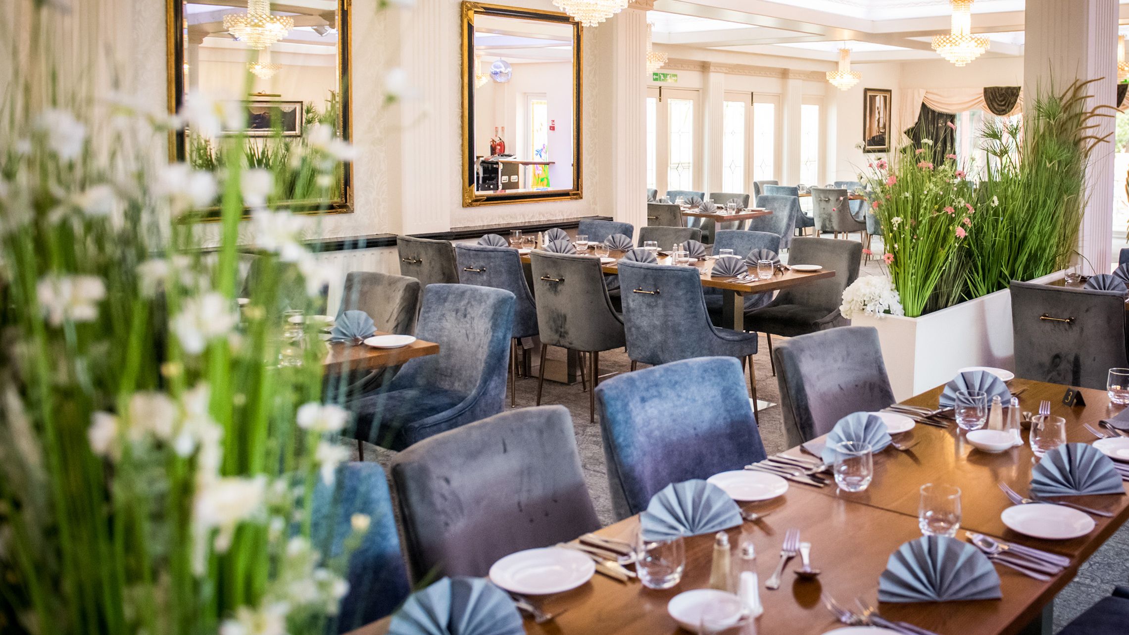 Elegant restaurant dining room with blue velvet chairs, set tables and chandeliers