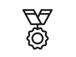 medal icon