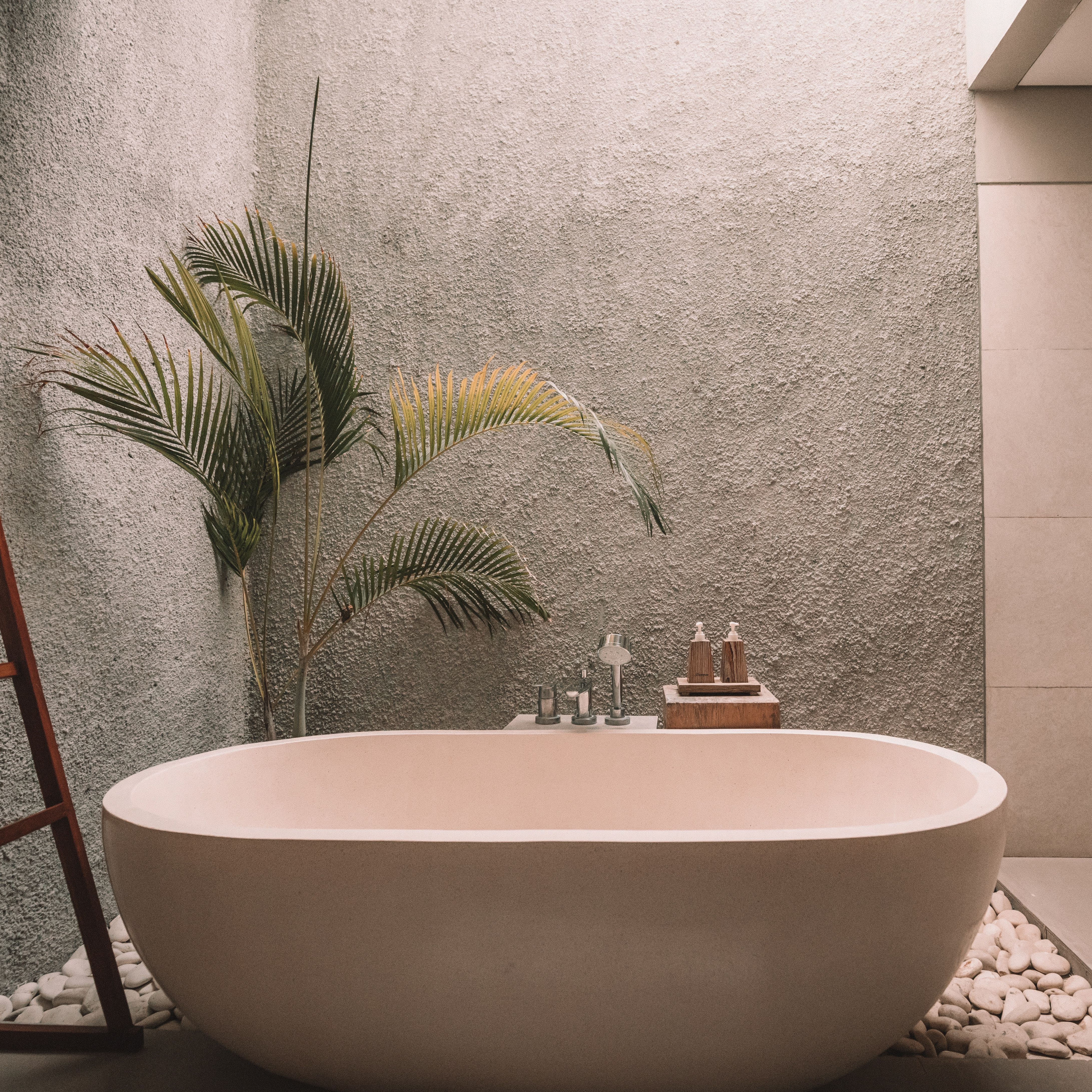 Modern minimalist bathroom with a freestanding bathtub, indoor plant, and towel rack