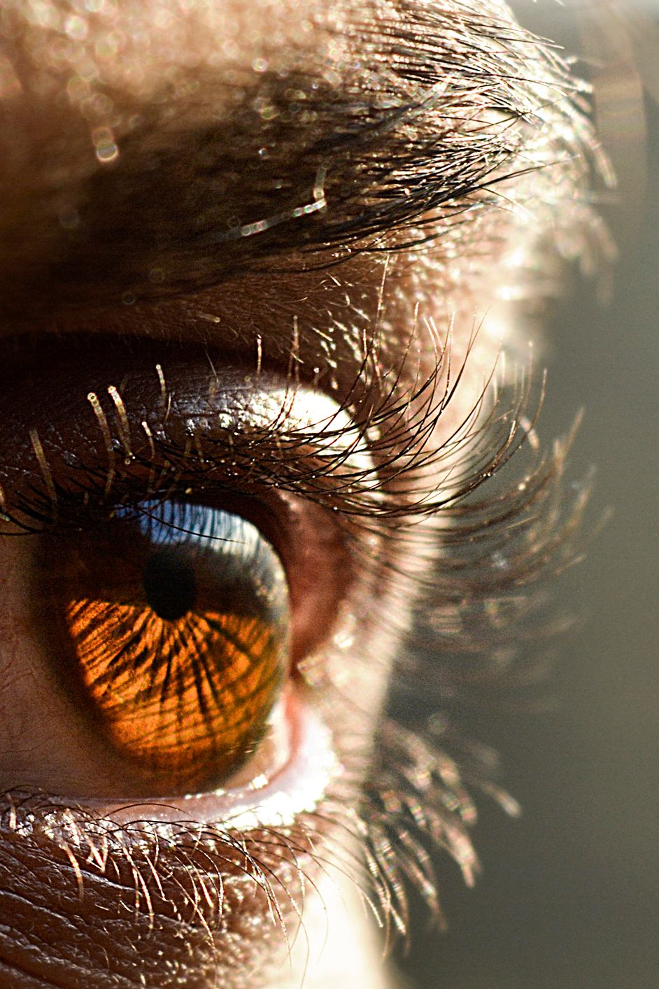 Extreme close-up of a human eye with brown iris reflecting light.