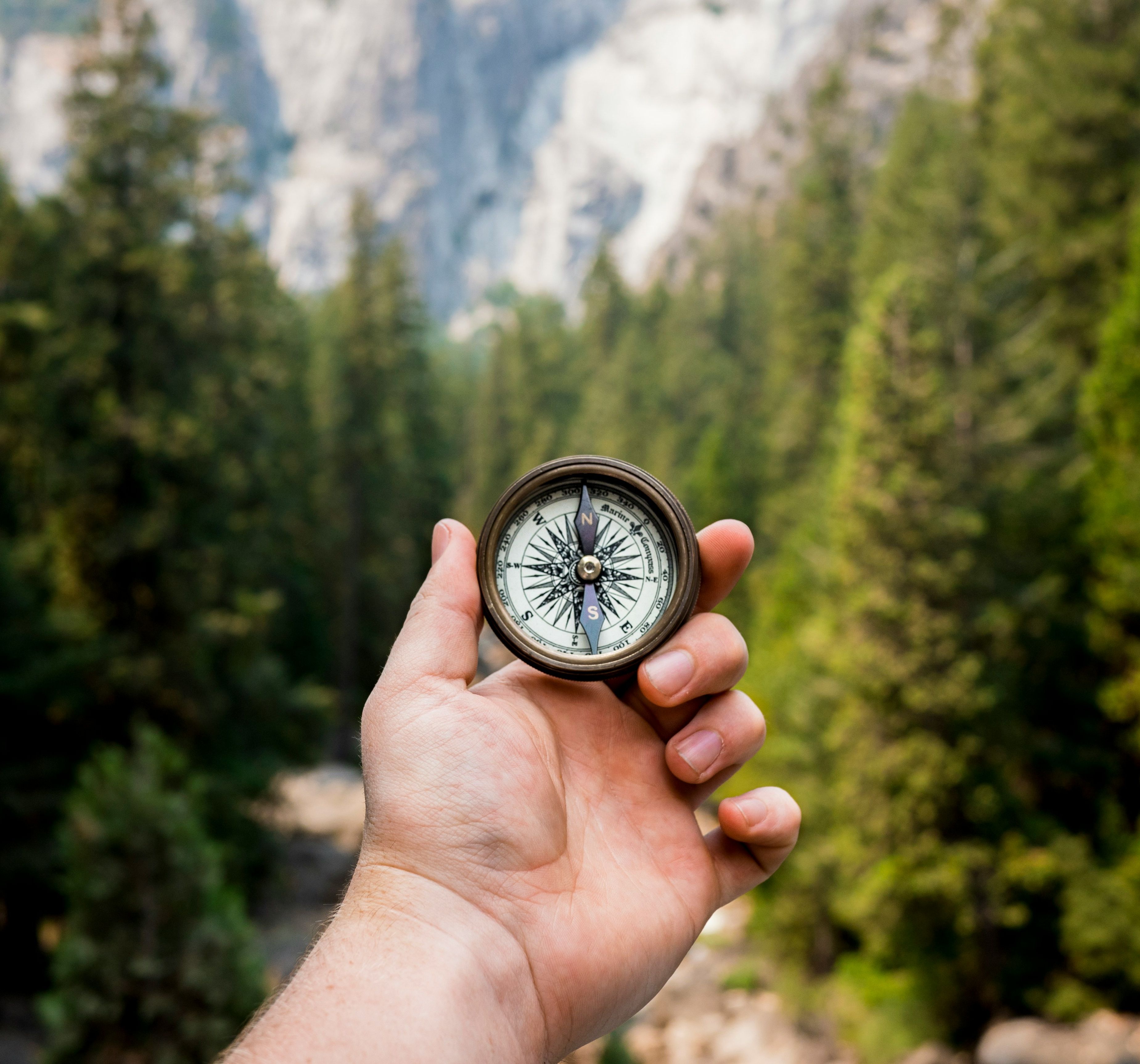 Hand holding a compass with a forest and mountains in the background