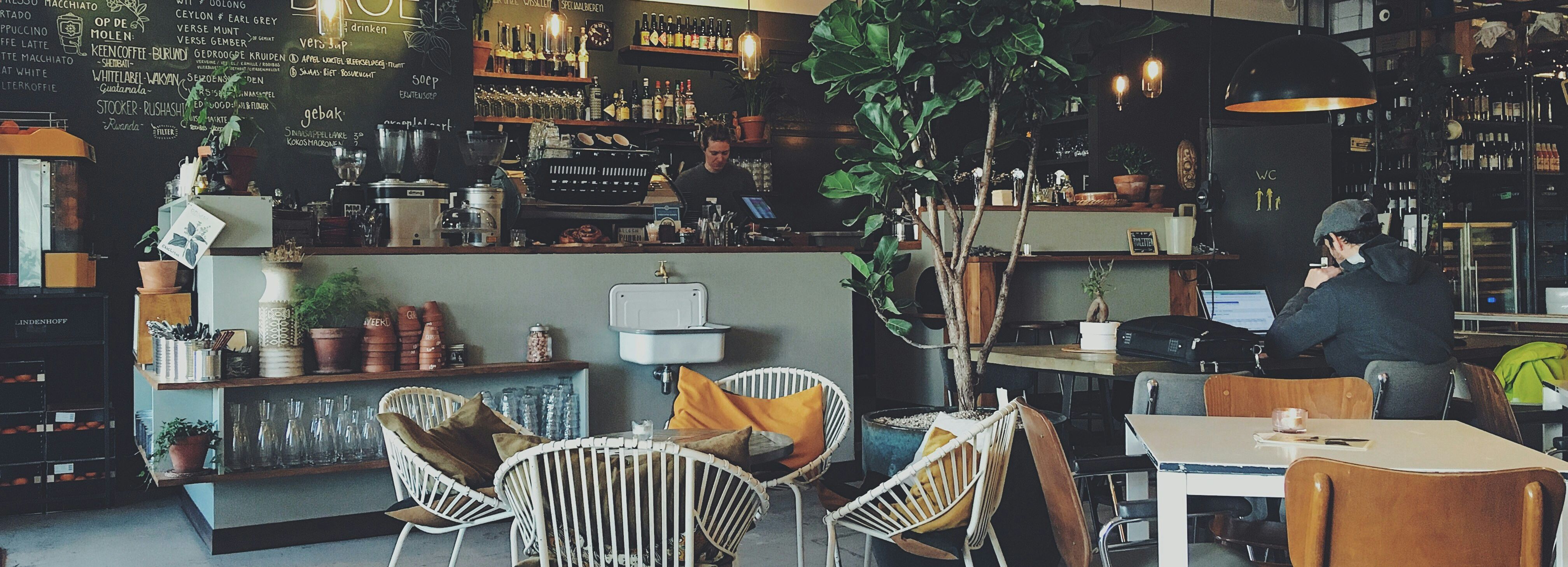 Cozy modern cafe with indoor plants, a barista behind the counter, and patrons working on laptops.