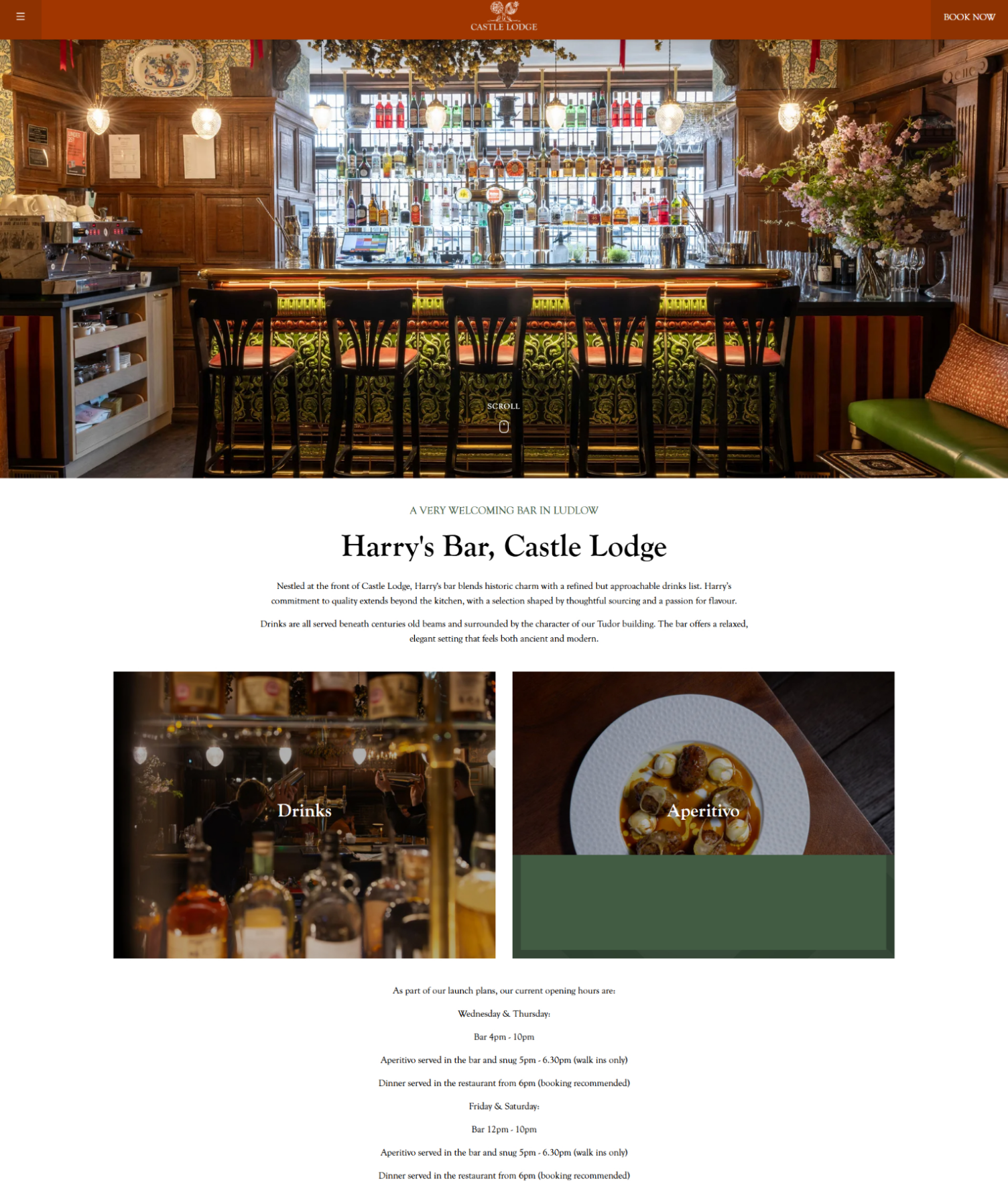Interior view of Harry's Bar at Castle Lodge with ornate bar counter, wooden stools, and a well-stocked bar shelf in a historic setting.