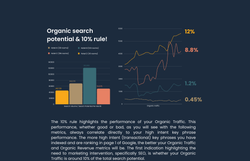 The Nare SEO Insights (5)
