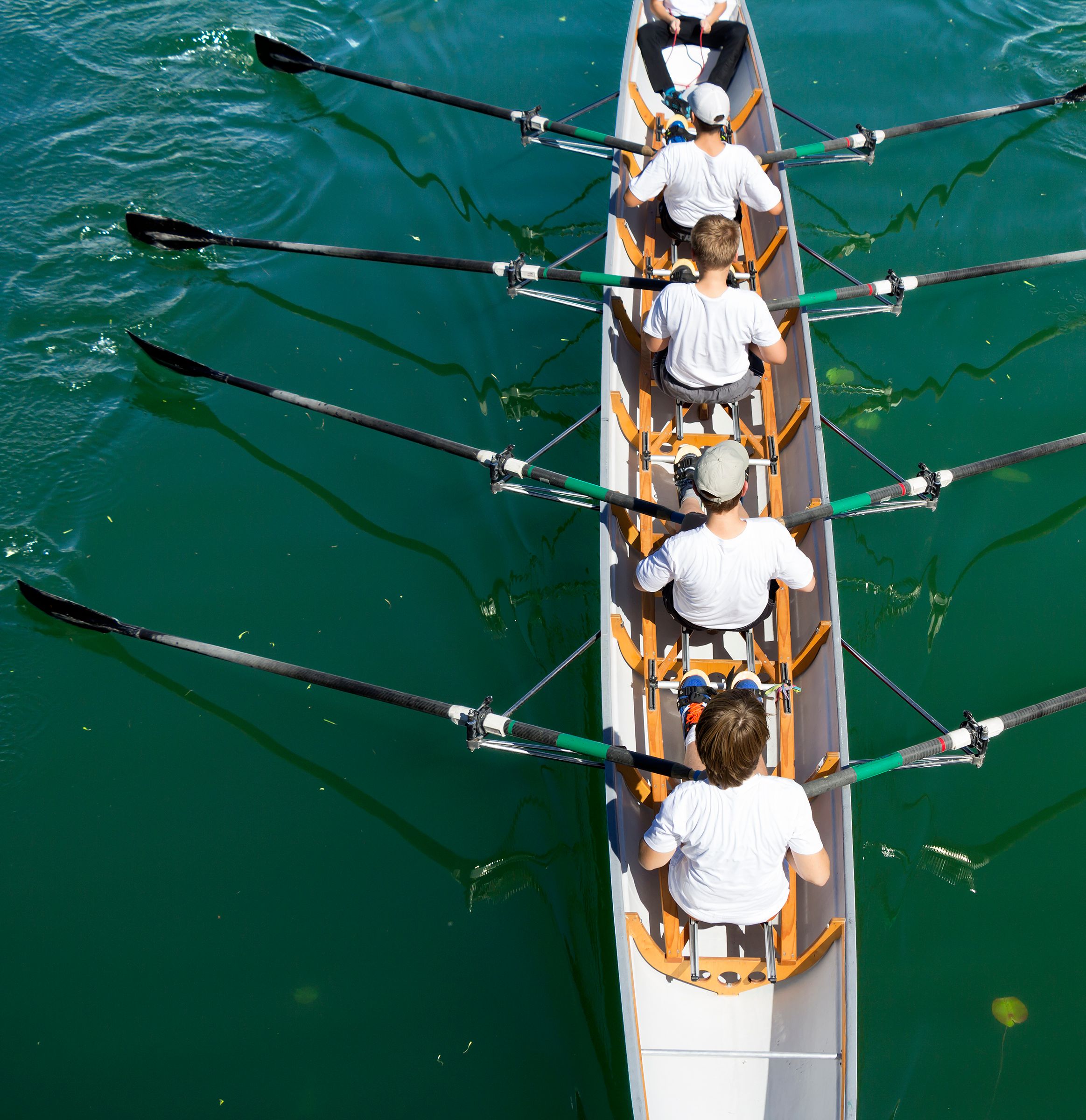 Rowing team seen from above rowing on green water