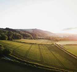 Fields