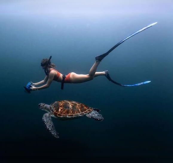 Woman diving with turtle