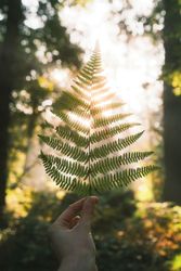 ingmar-h-gy8KDWHvTaM-unsplash