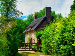 Quaint stone cottage with a thatched roof surrounded by lush greenery and trees
