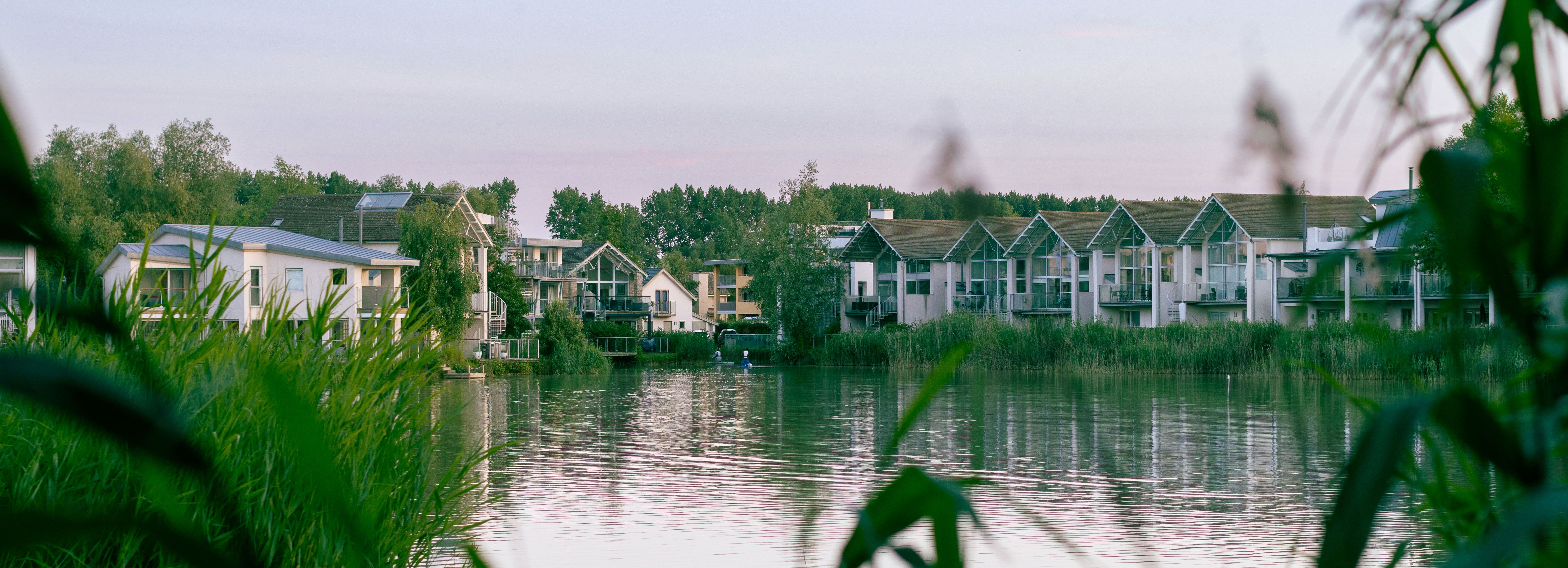 Row of modern houses along a peaceful lake, with tall green plants in the foreground.