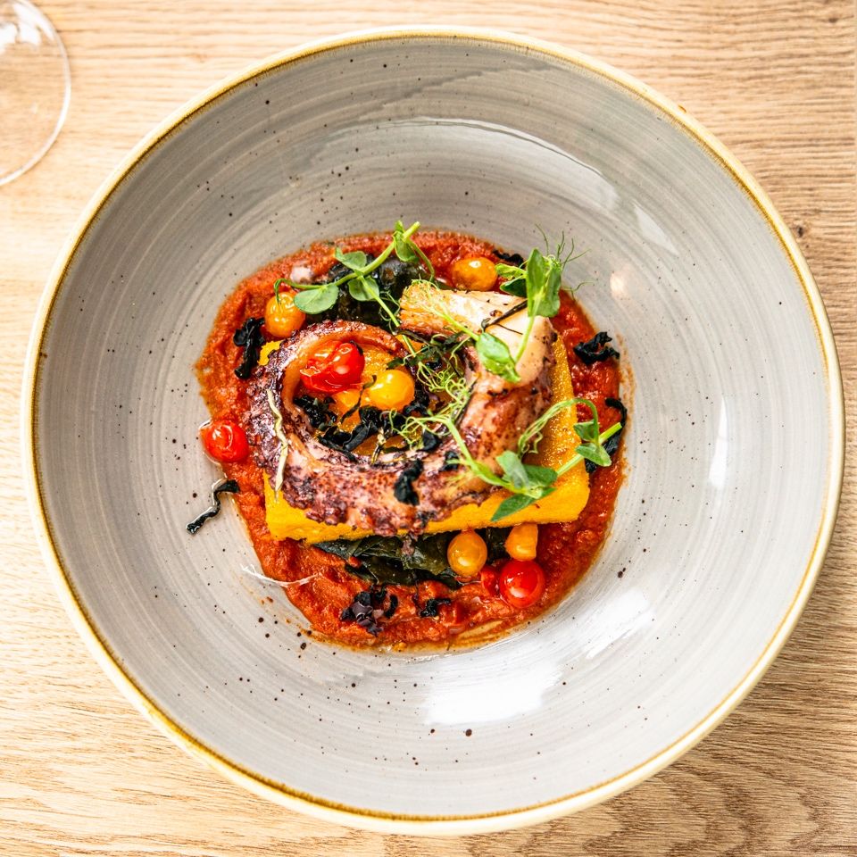 Gourmet octopus dish served with tomato sauce, yellow cherry tomatoes, greens, and herbs on a decorative plate