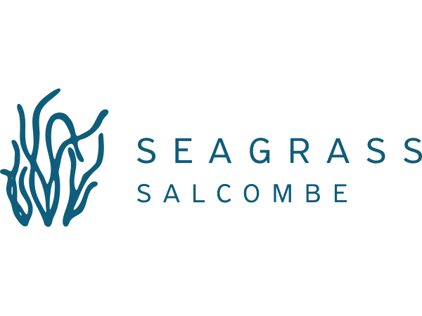 Seagrass Salcombe logo with seaweed graphic