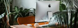 Modern home office workspace with an iMac on a wooden desk surrounded by lush green houseplants.