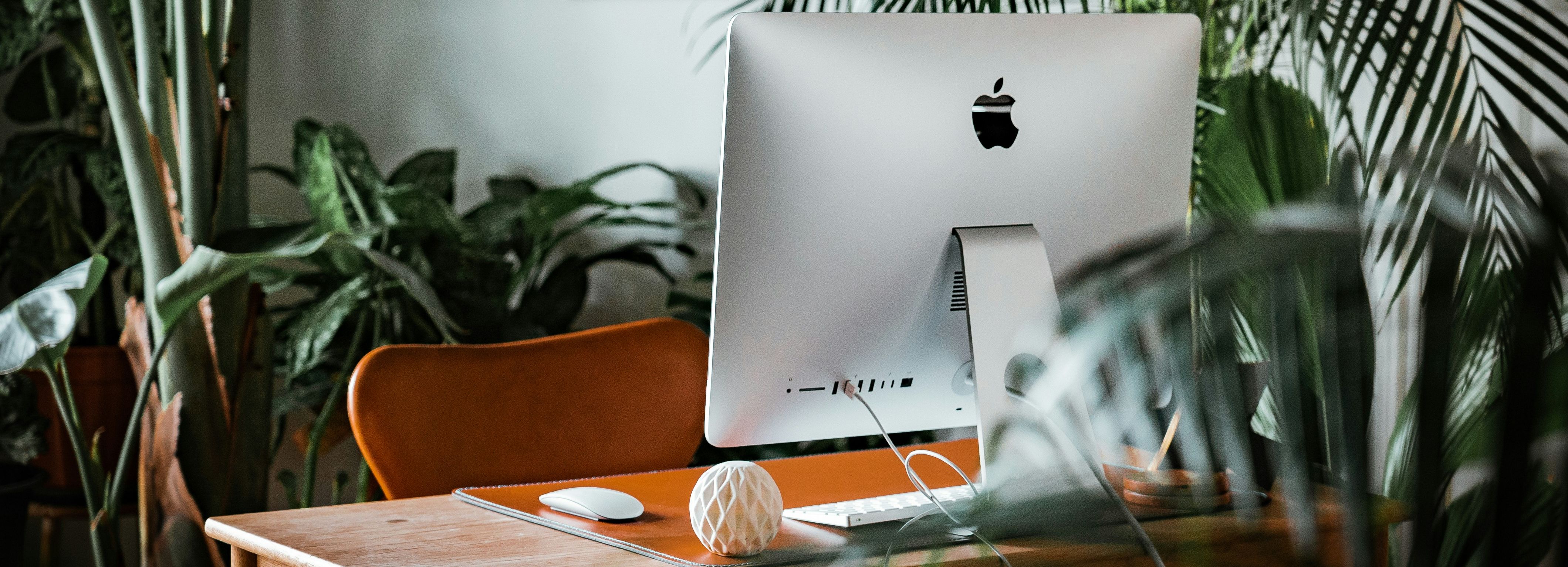 Modern home office workspace with an iMac on a wooden desk surrounded by lush green houseplants.